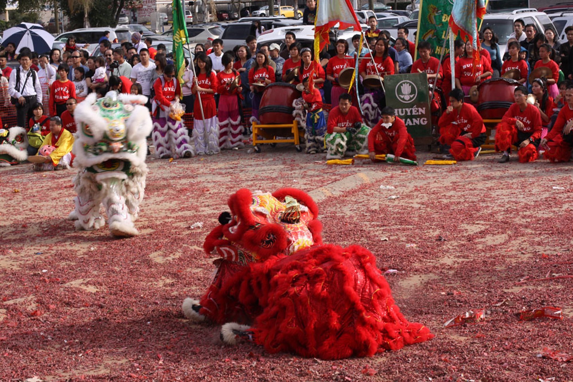 Lunar New Year events in the Greater Houston Area