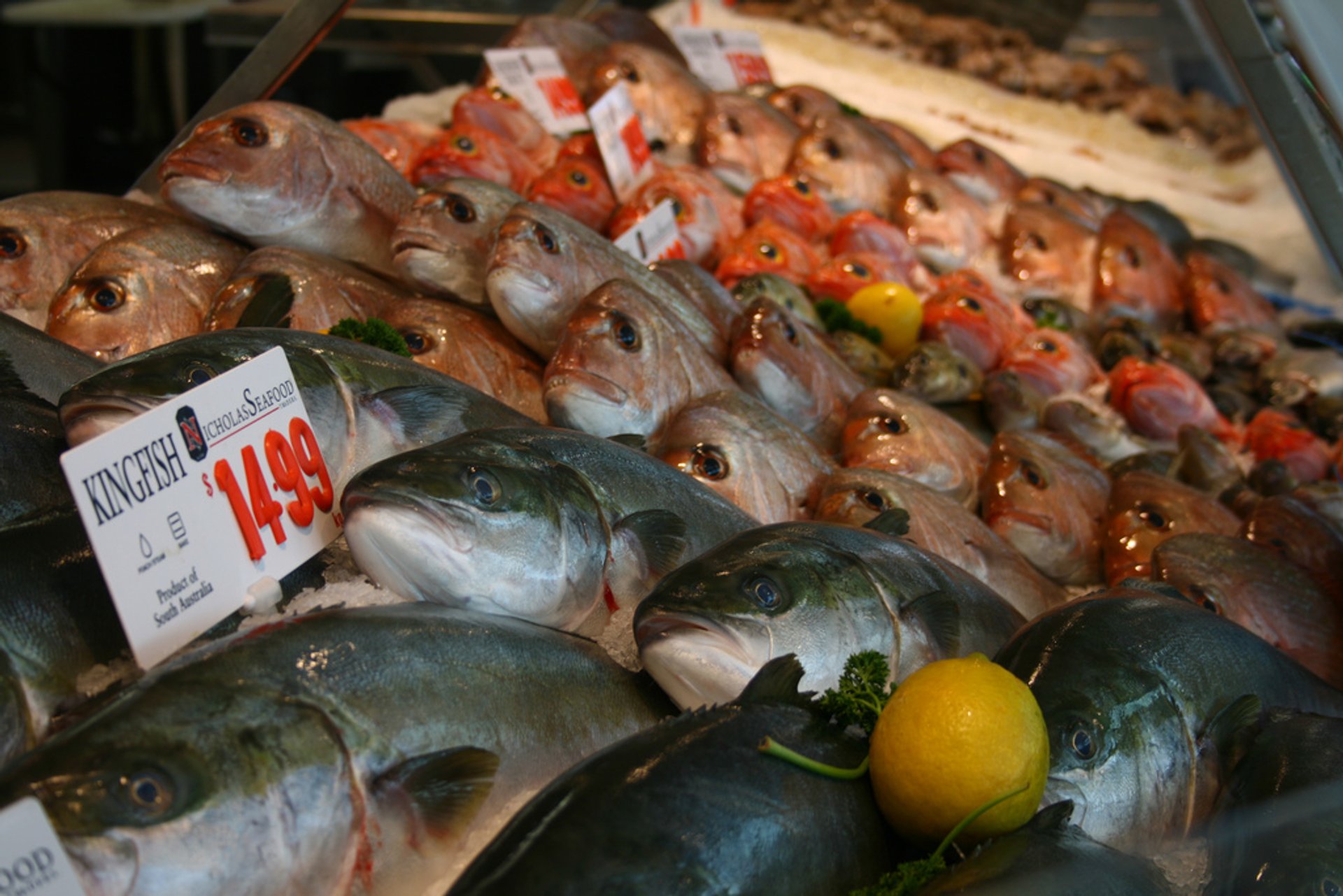 Mercado de pescado de Sydney