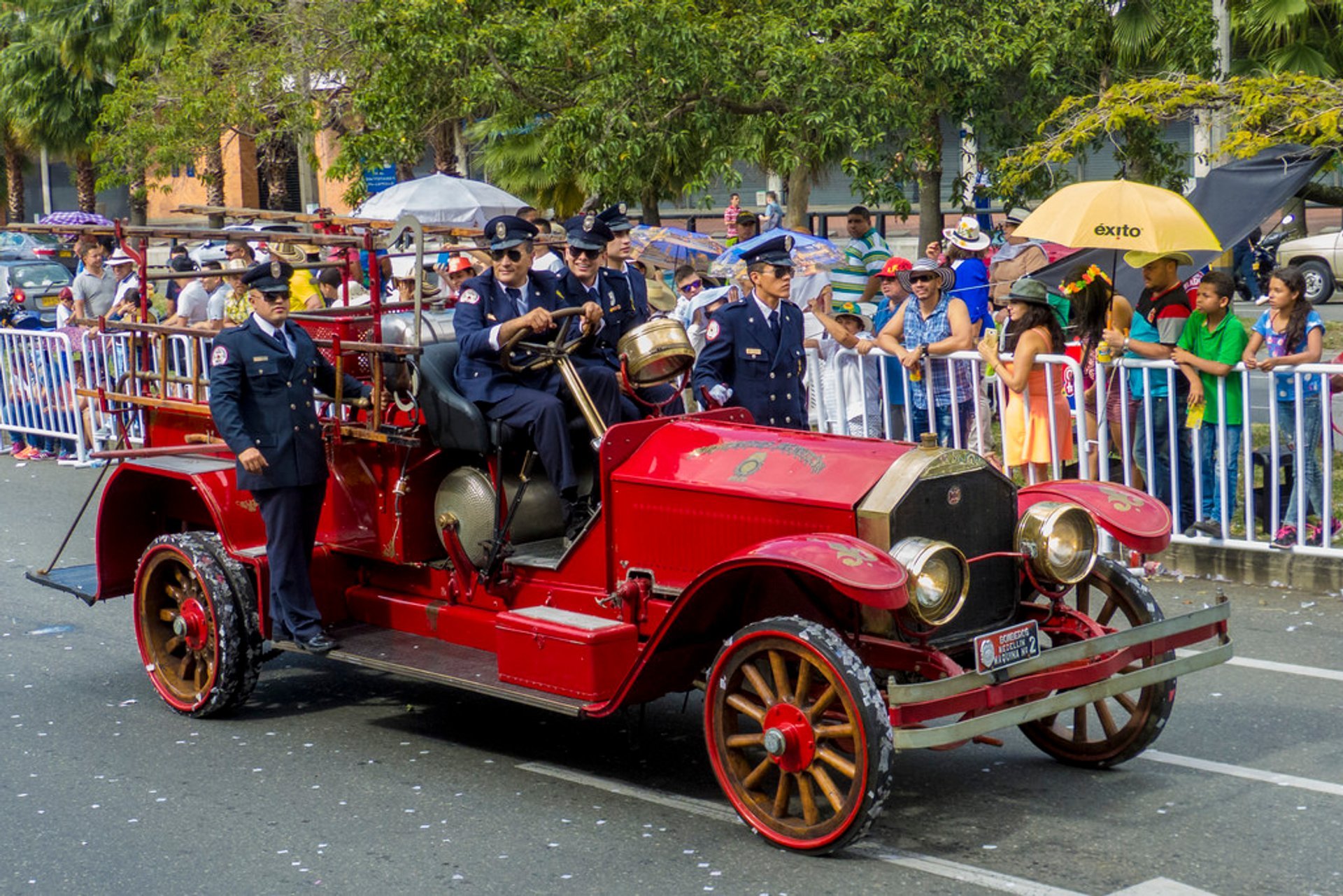 Festival das Flores