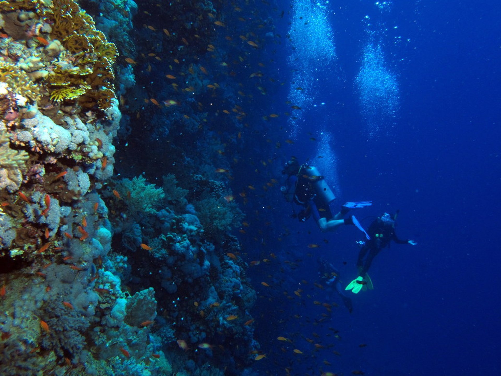 Plongée sous-marine et plongée sous-marine