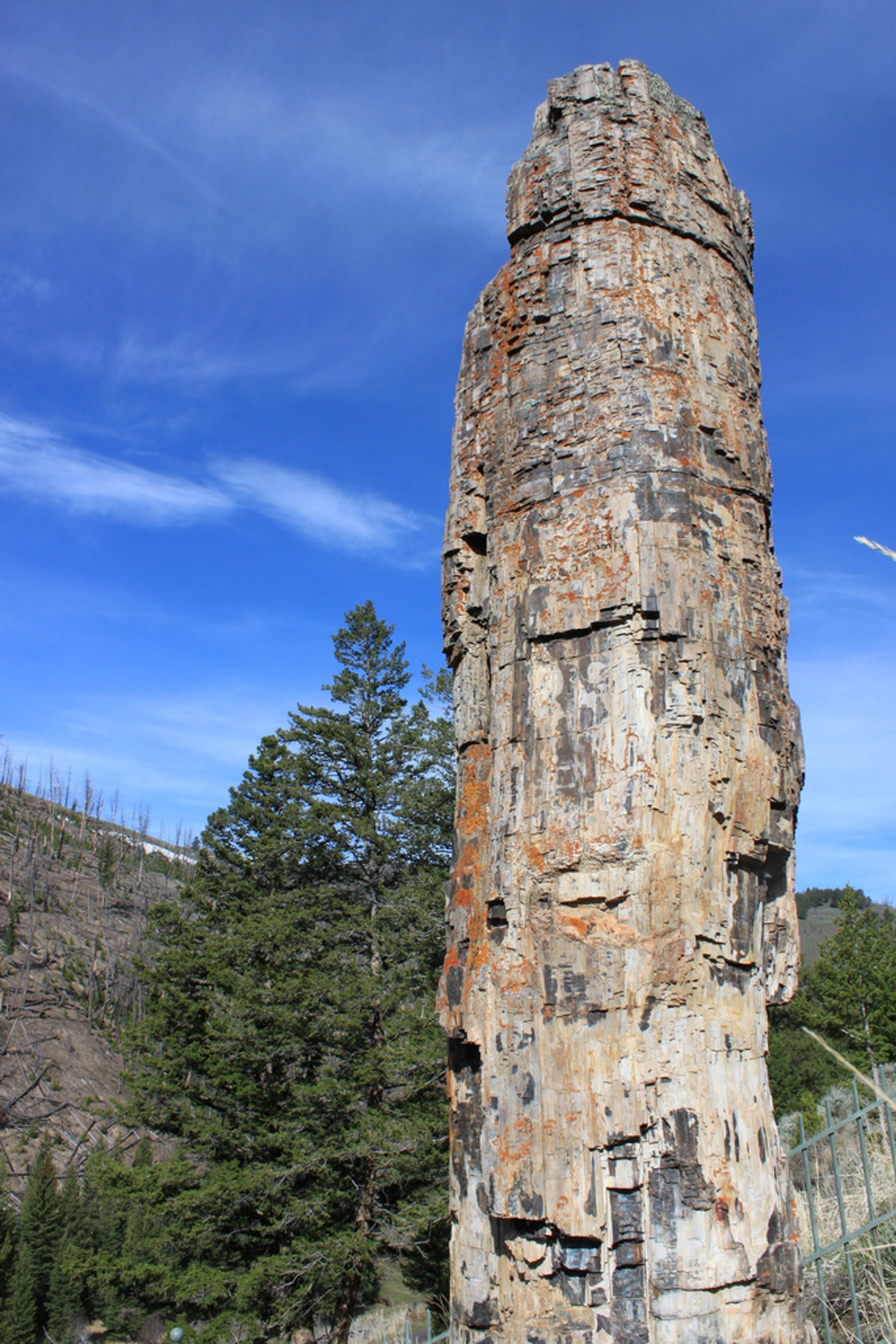 Région du Tower-Roosevelt