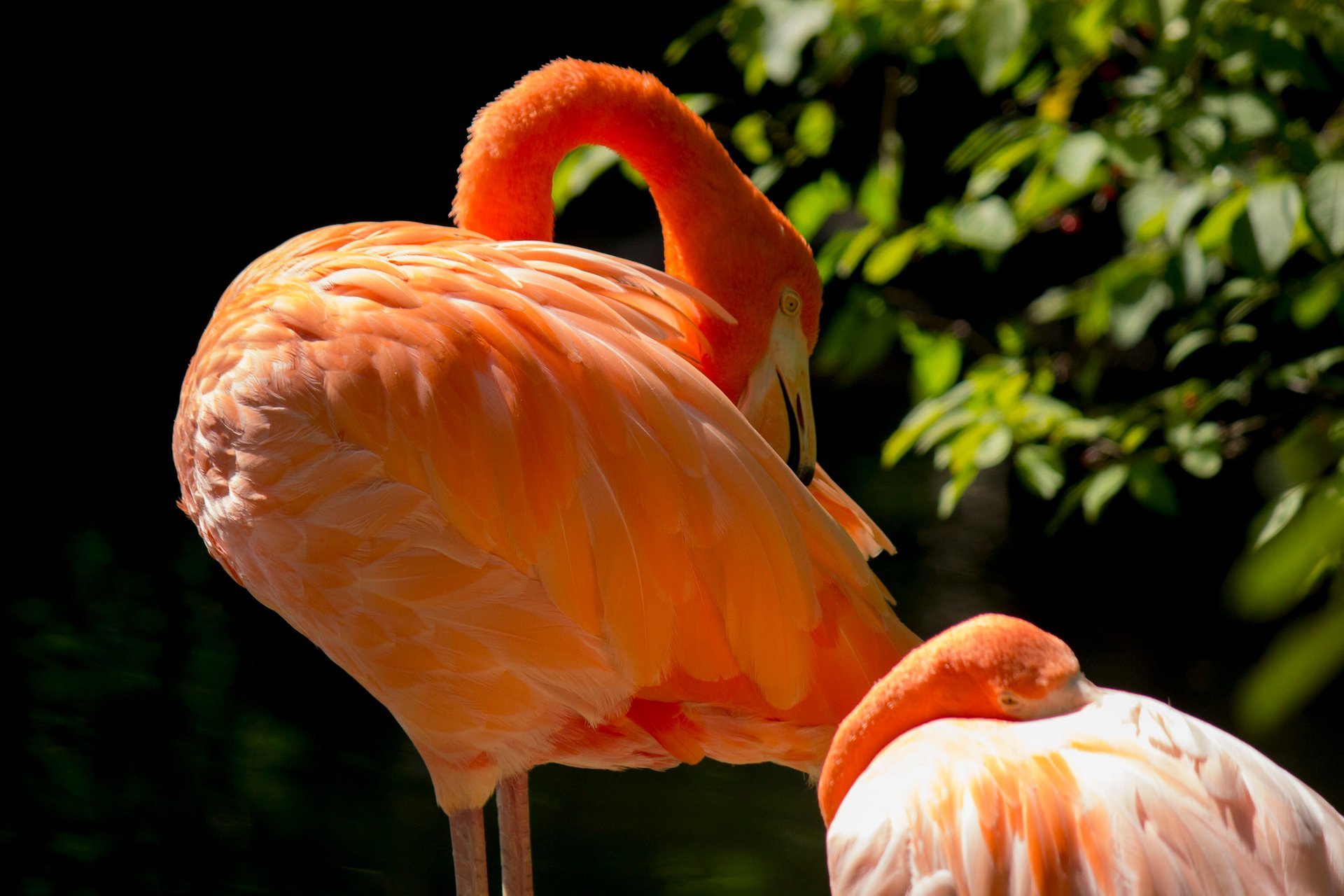 Pittsburgh Zoo & PPG Aquarium