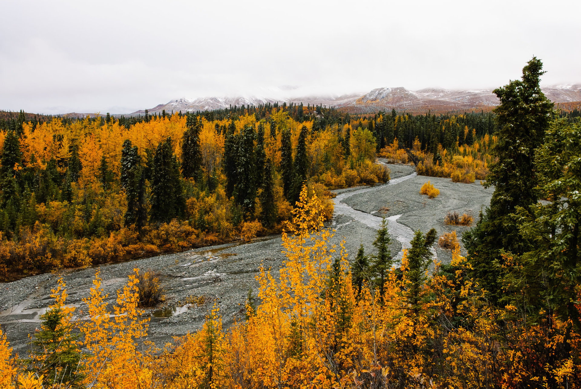 Couleurs d'automne de l'Alaska