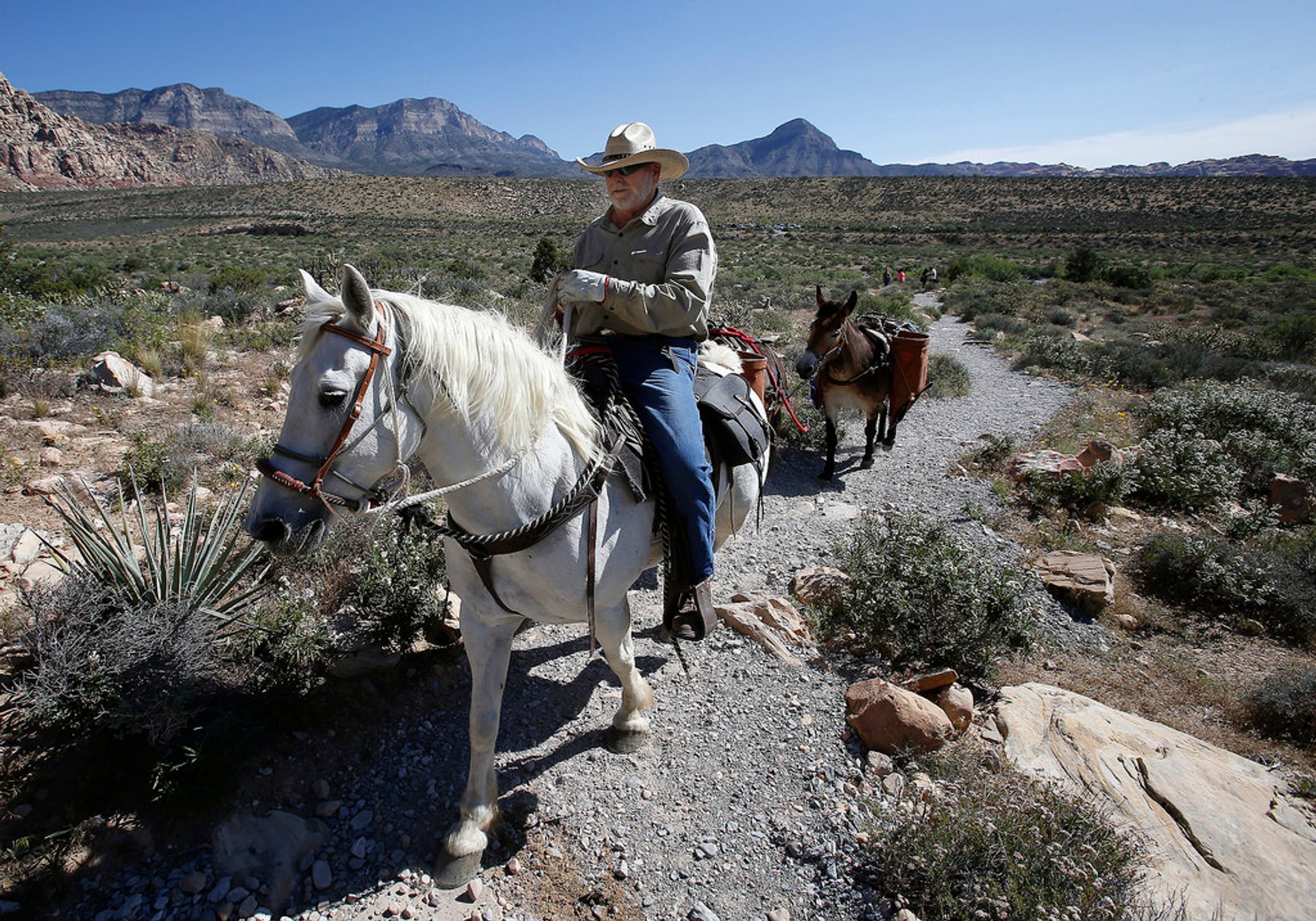 Horseback Riding through Red Rock Canyon