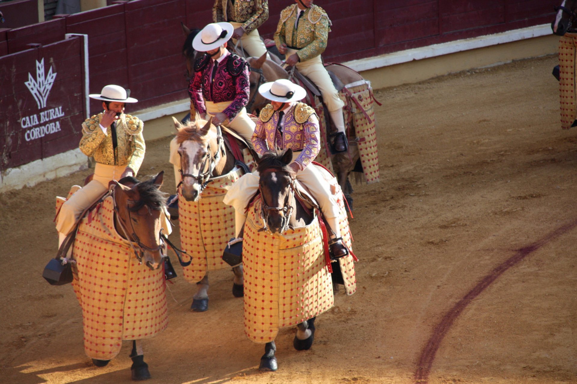 Bullfighting Season