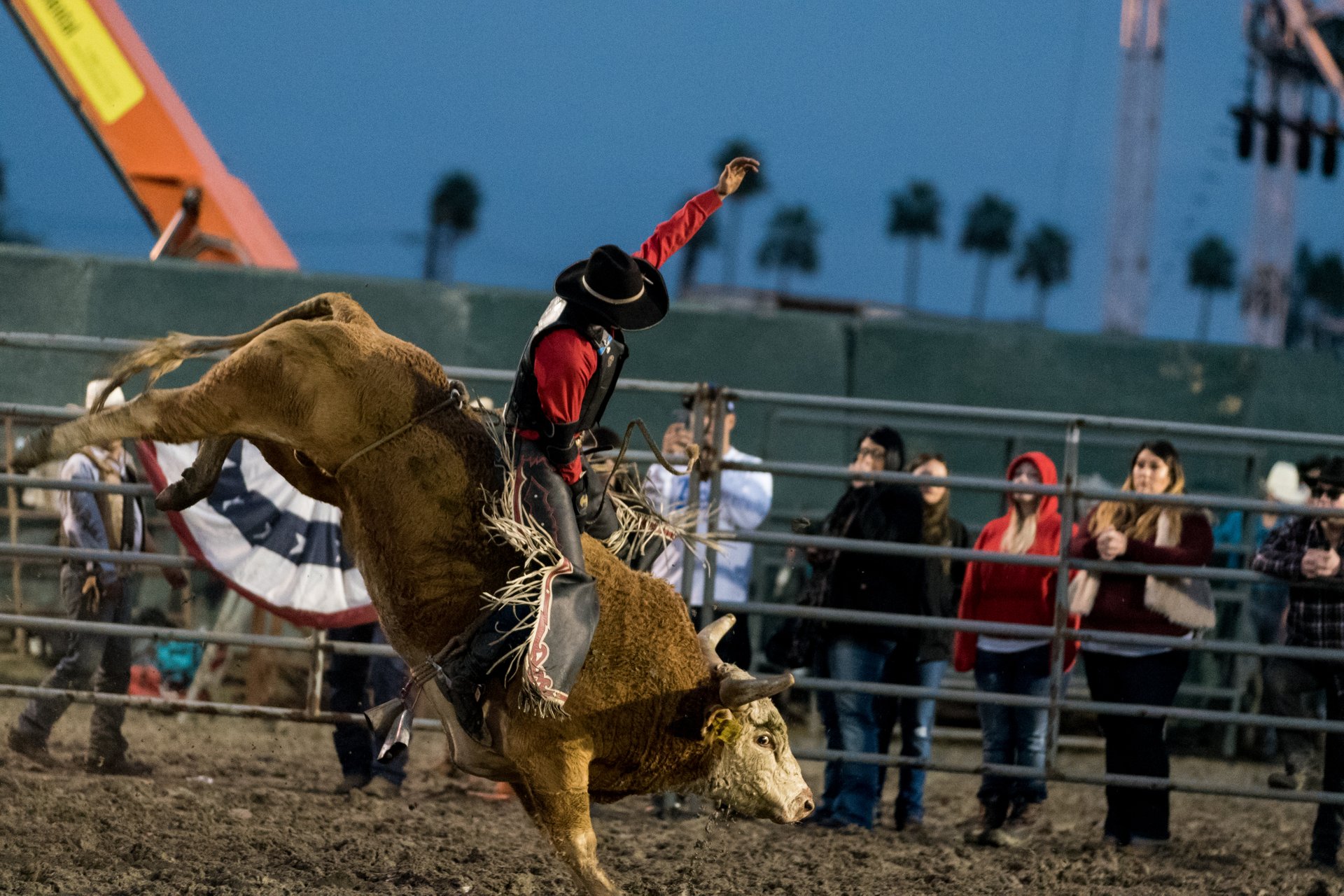 Riverside County Fair & National Date Festival 2024 in California Dates