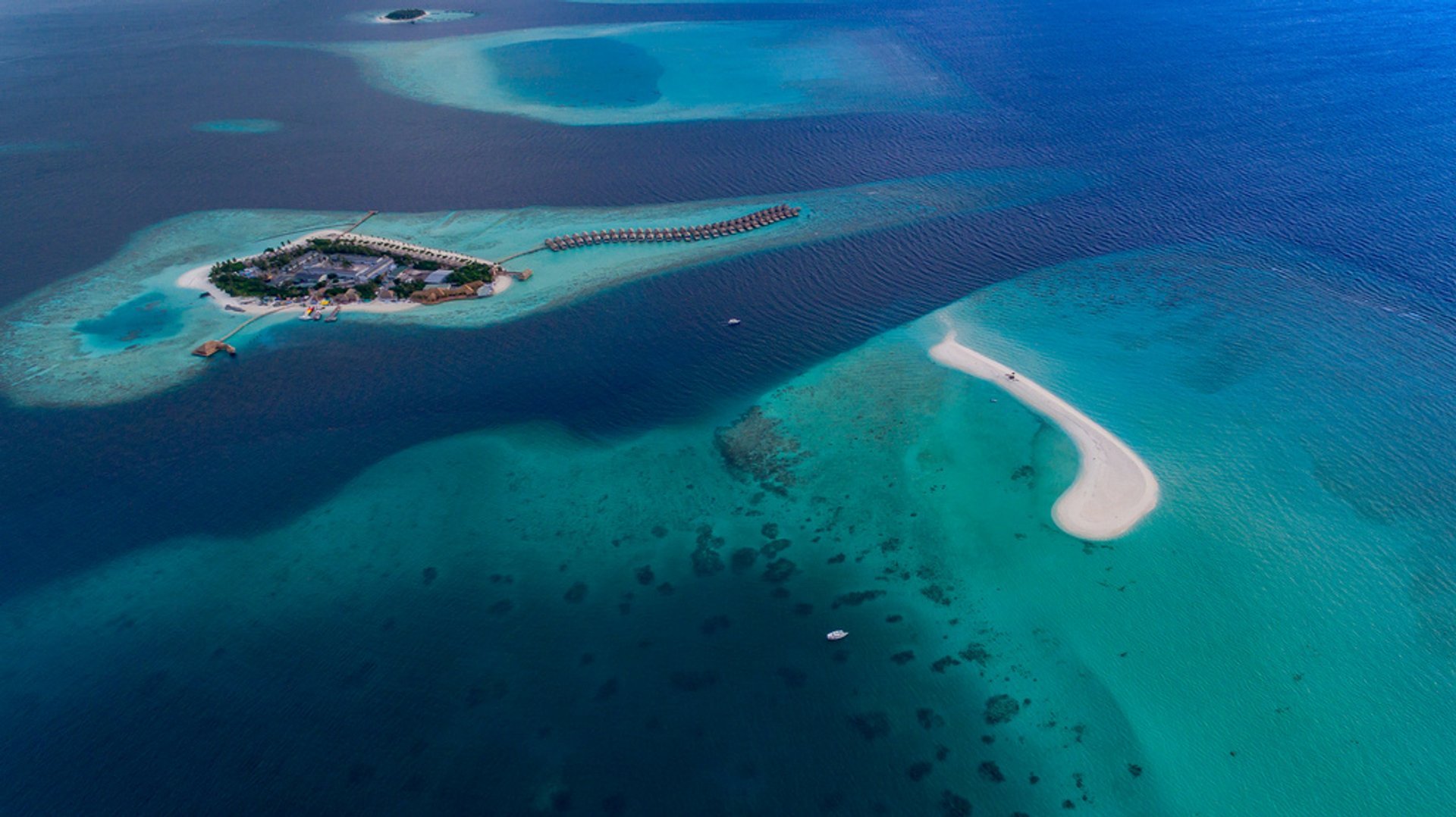 Watch the Birth of Baby Islands 