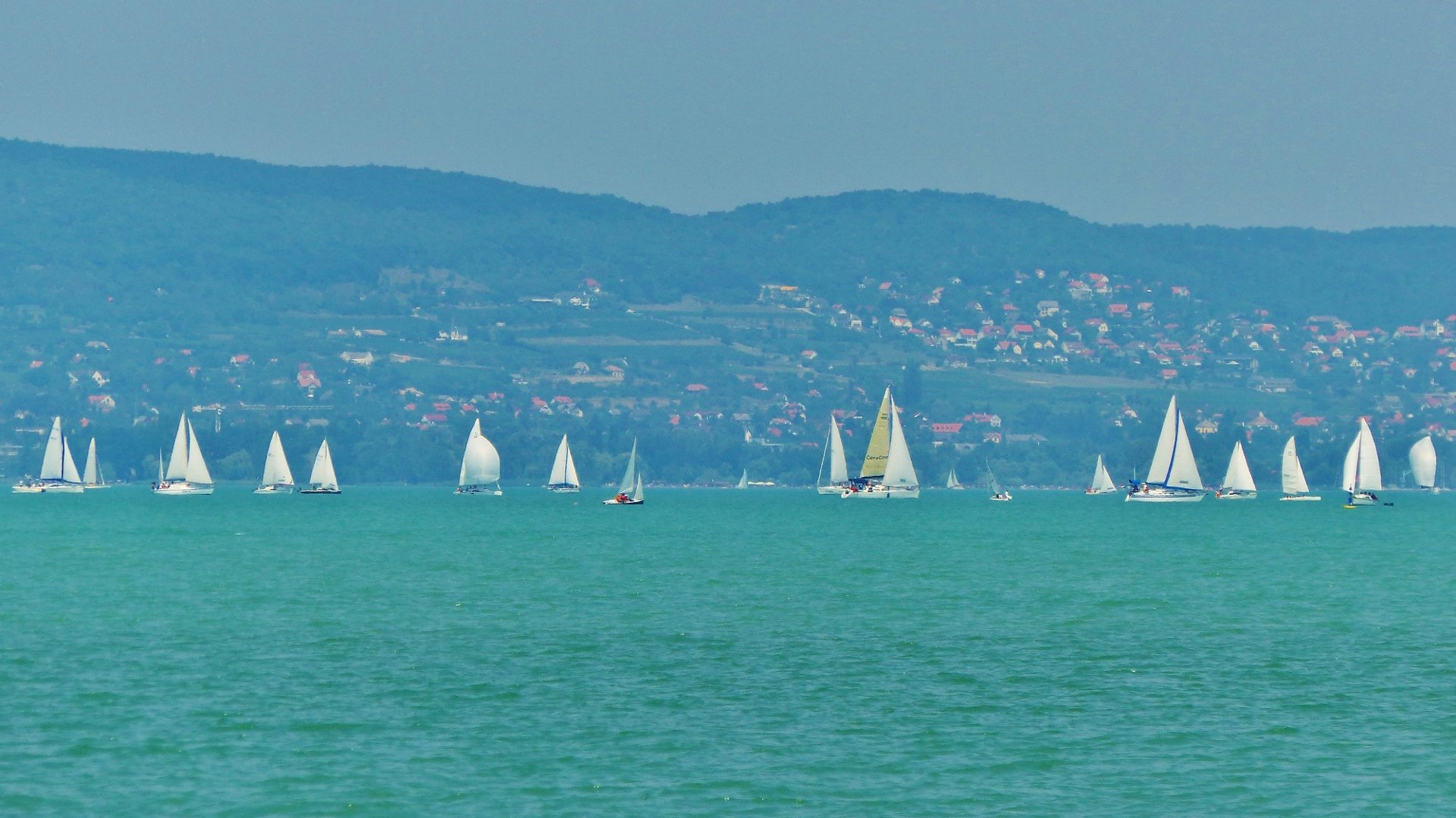 The Red Bull Air Race