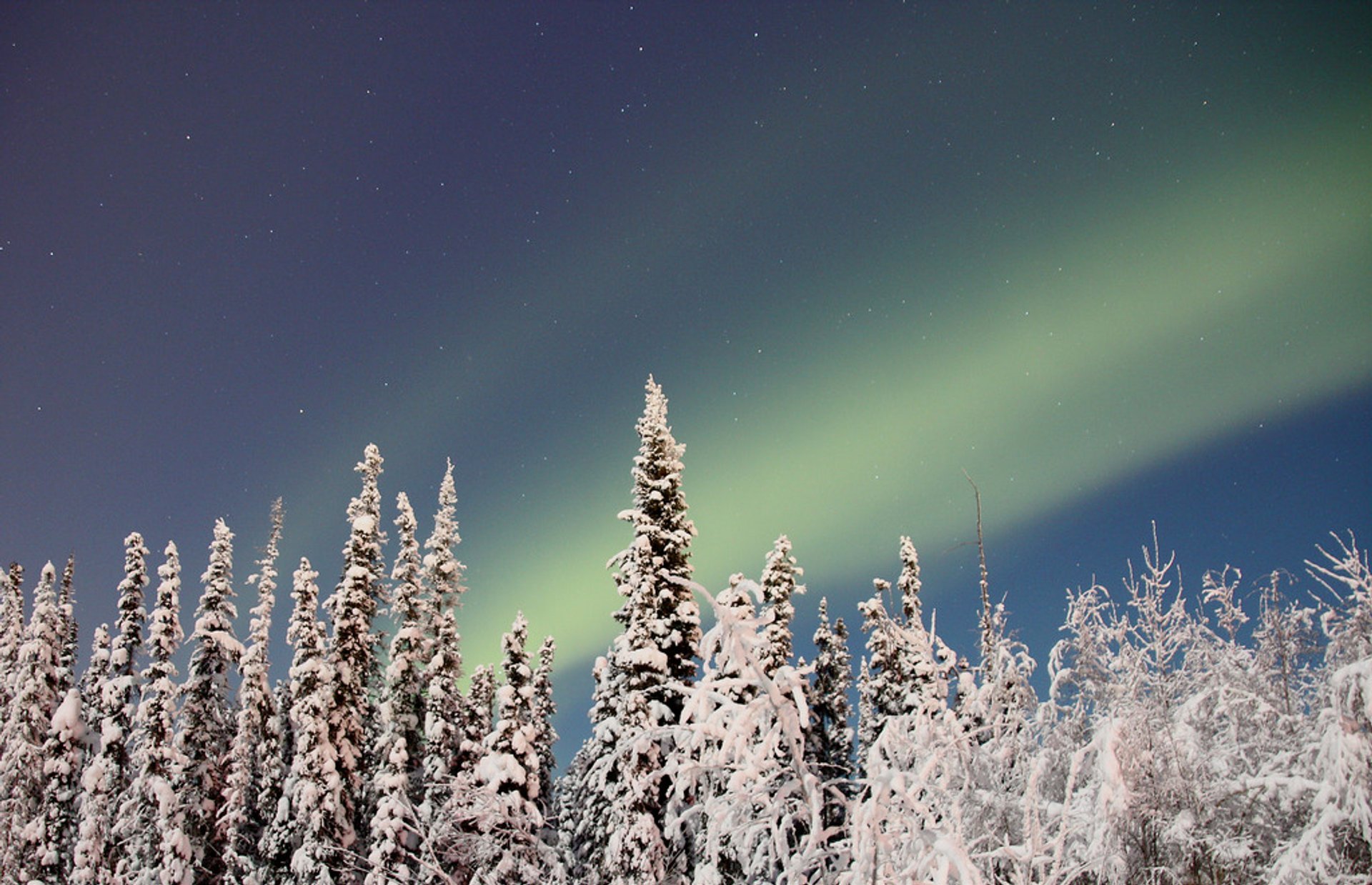 Nordlichter oder Aurora Borealis