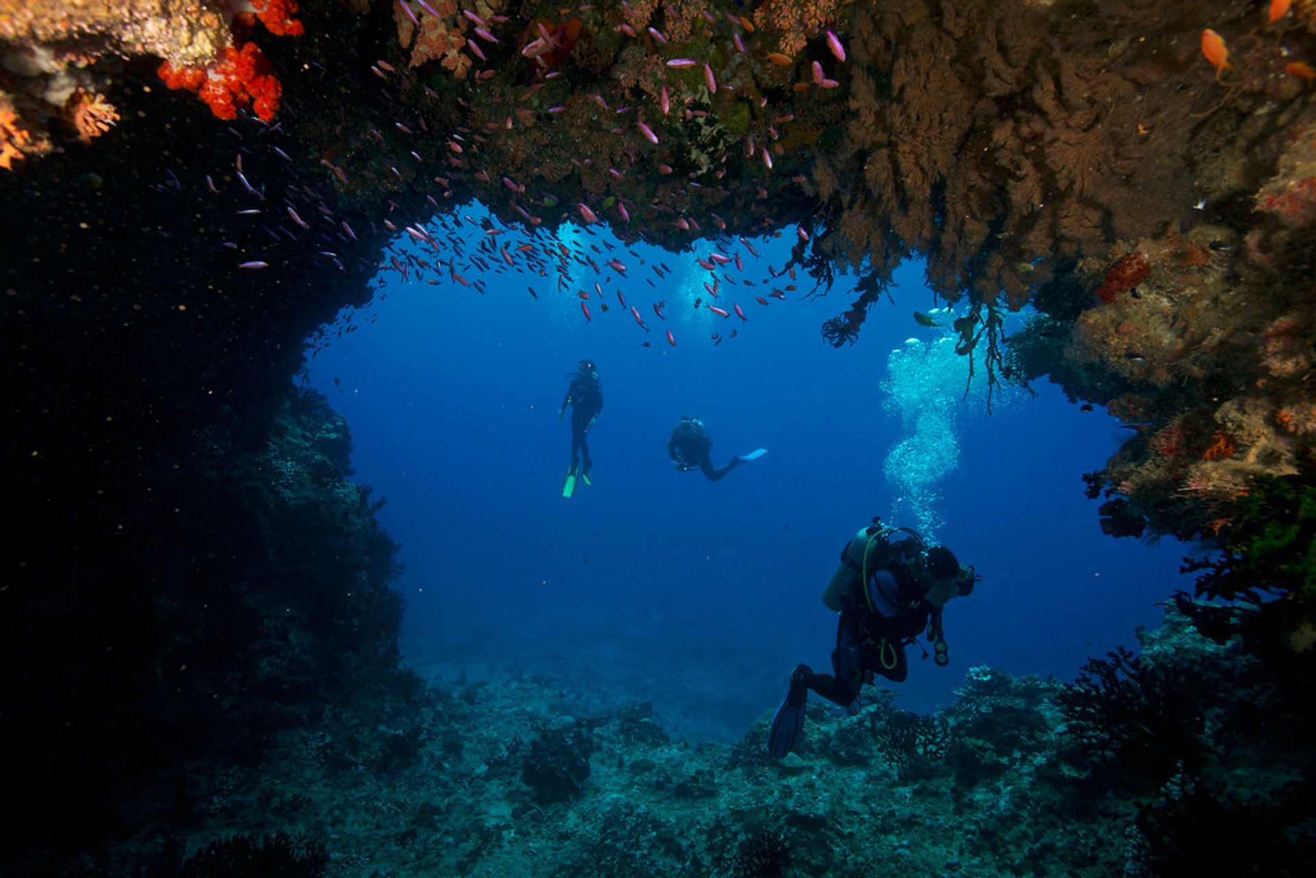 Plongée sous-marine