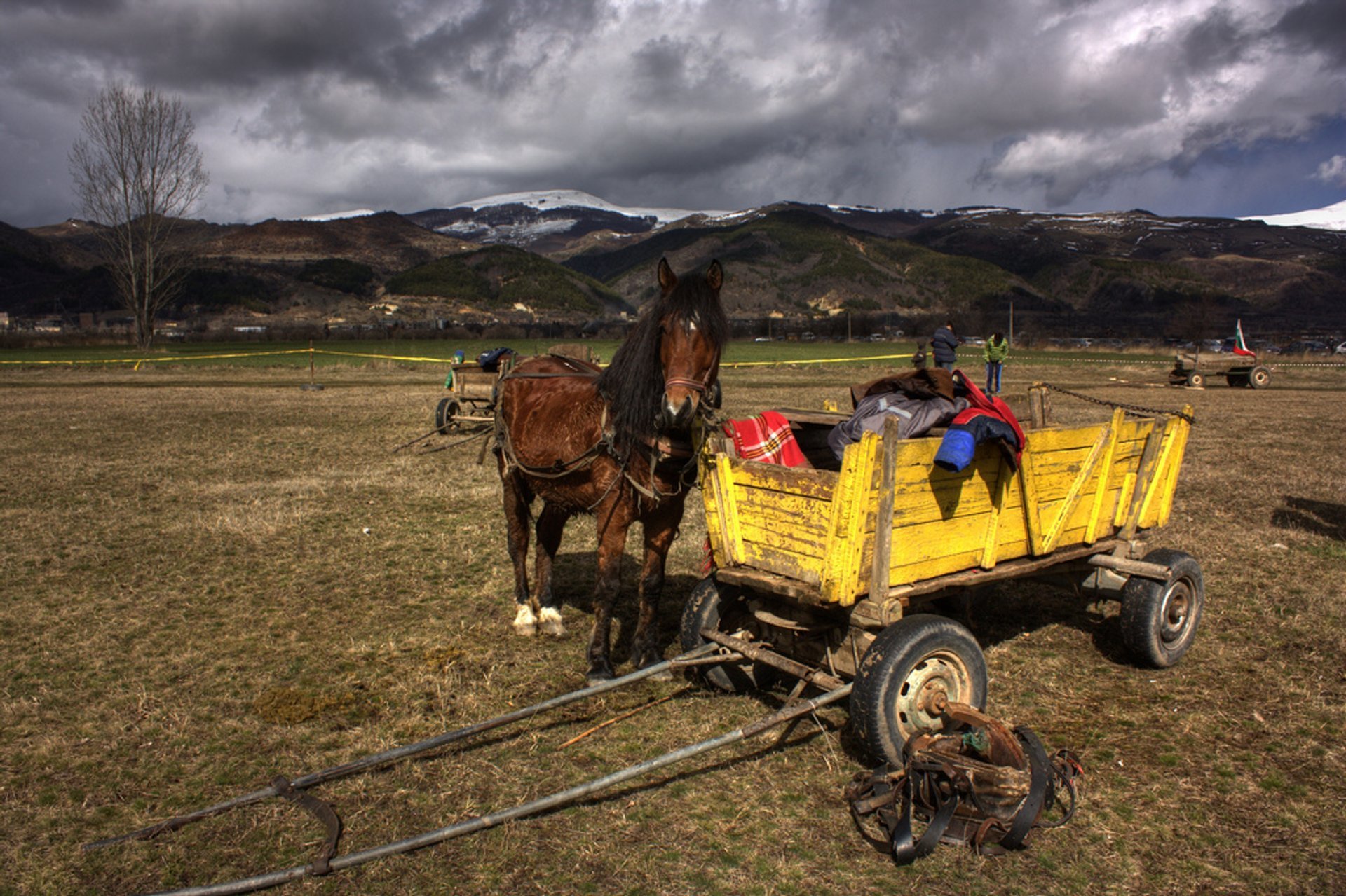 Día de St. Teodoro o Pascua del Caballo