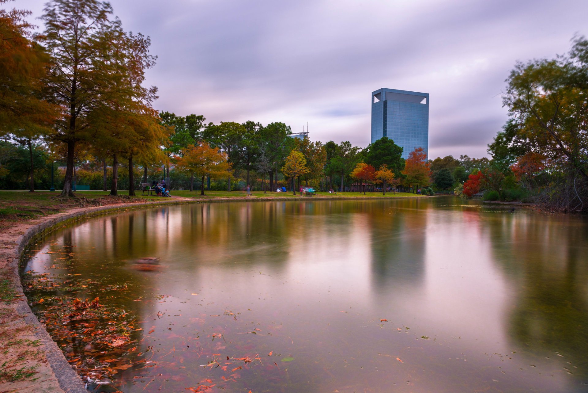 Colori autunnali di Houston