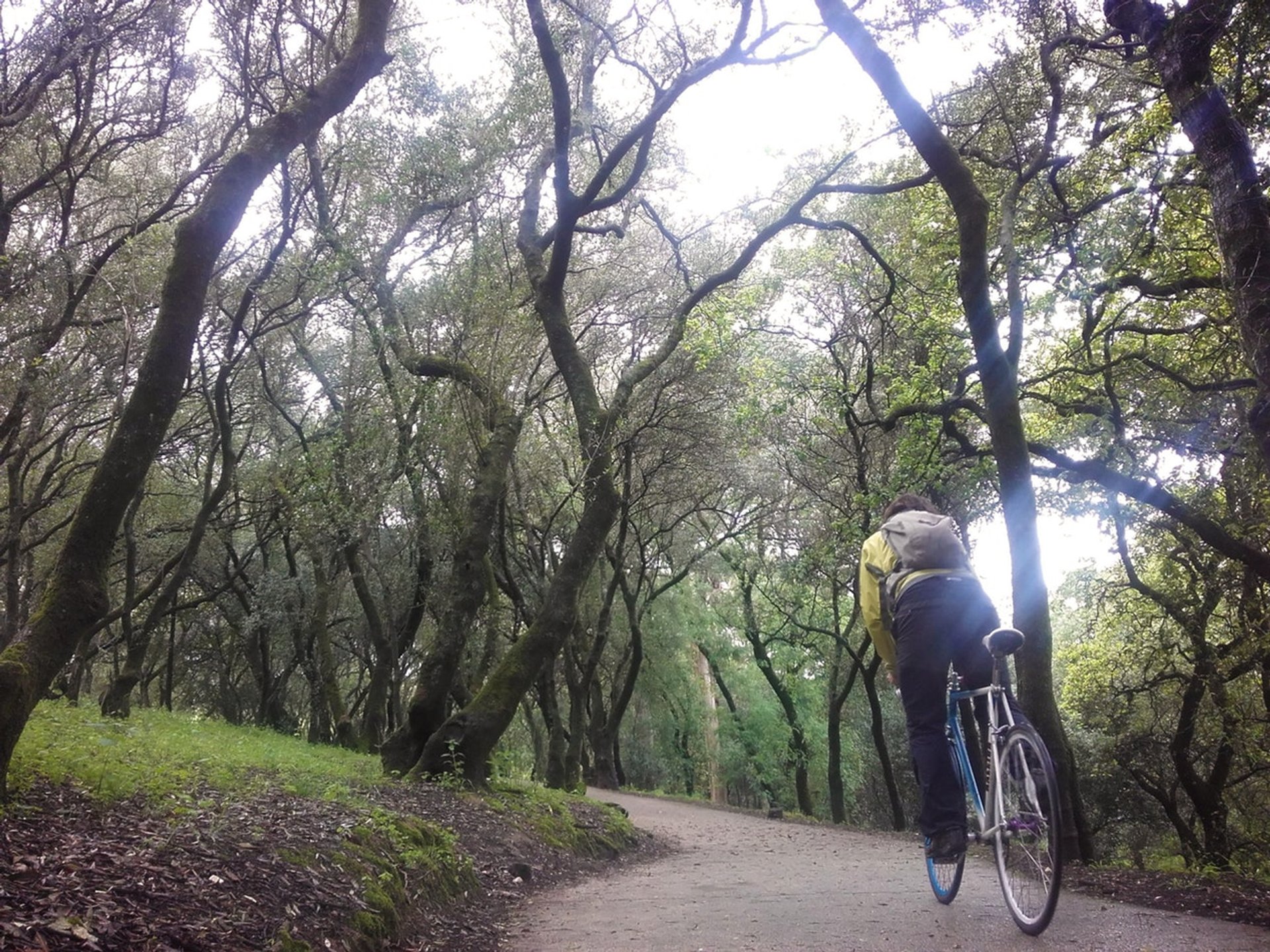 Ciclismo