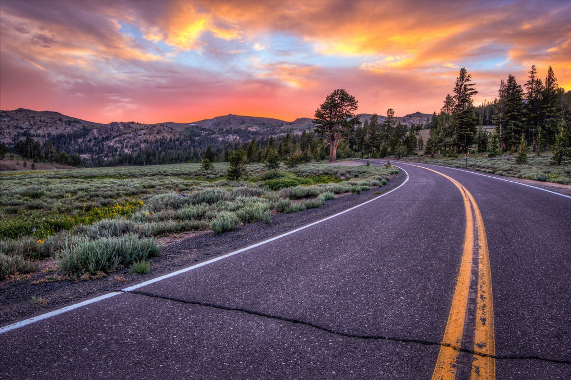 Sonora Pass