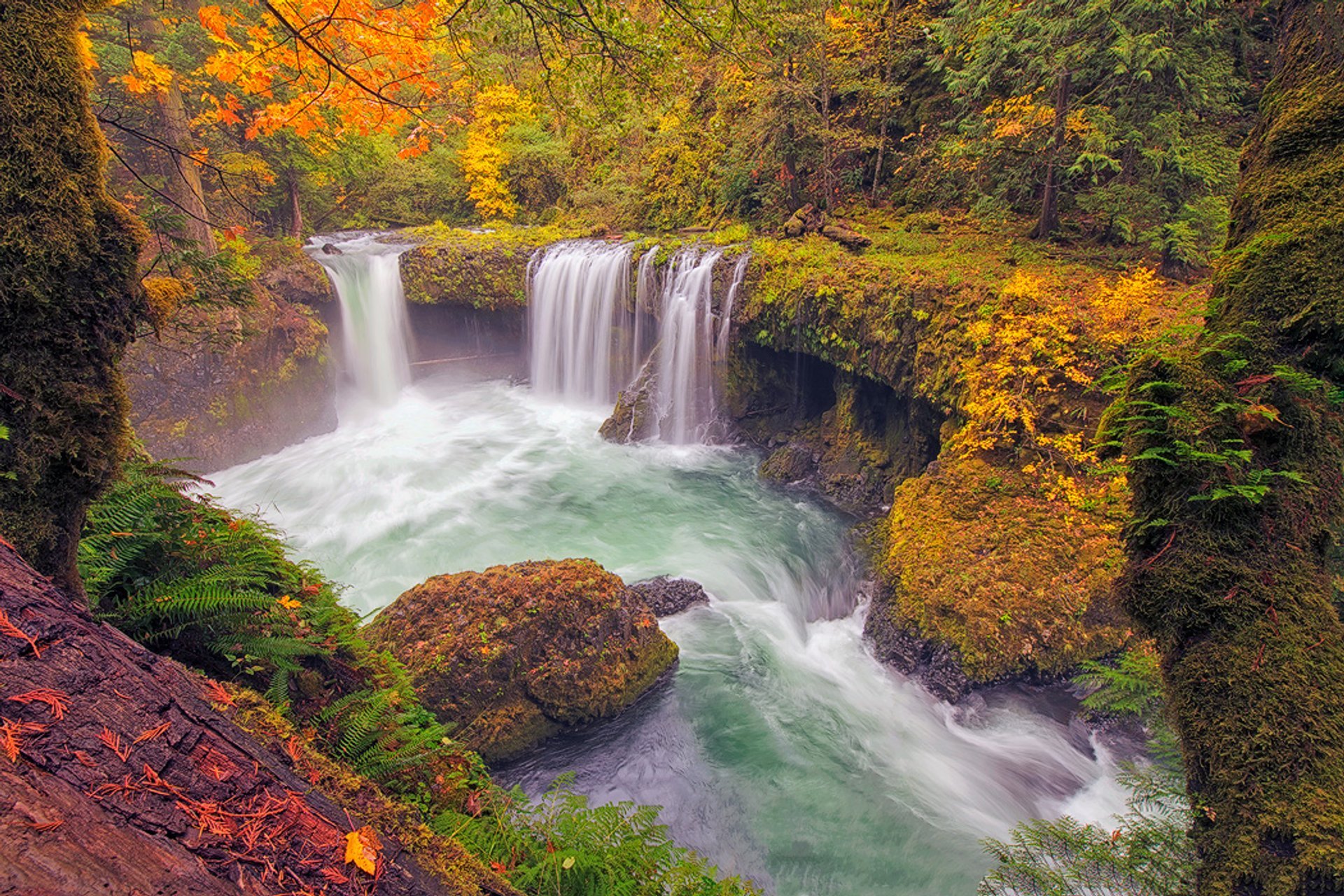 Washington Herbstlaub