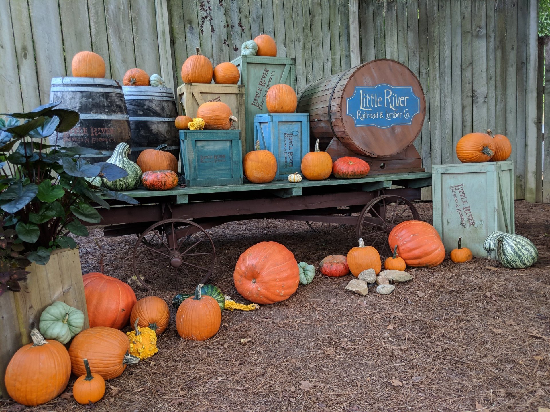 Dollywood Harvest Festival