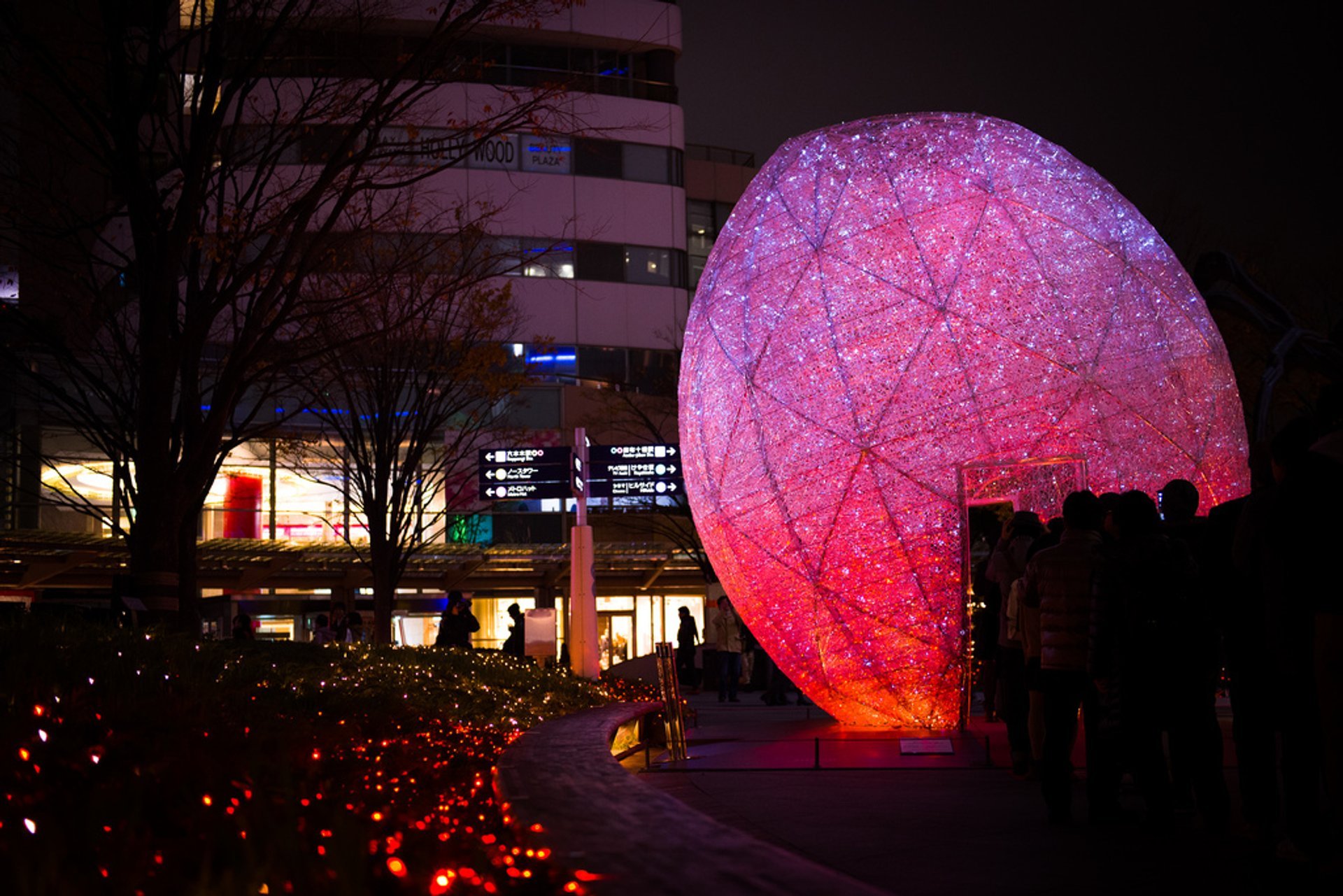 Winter Illumination 2022-2023 In Tokyo - Dates