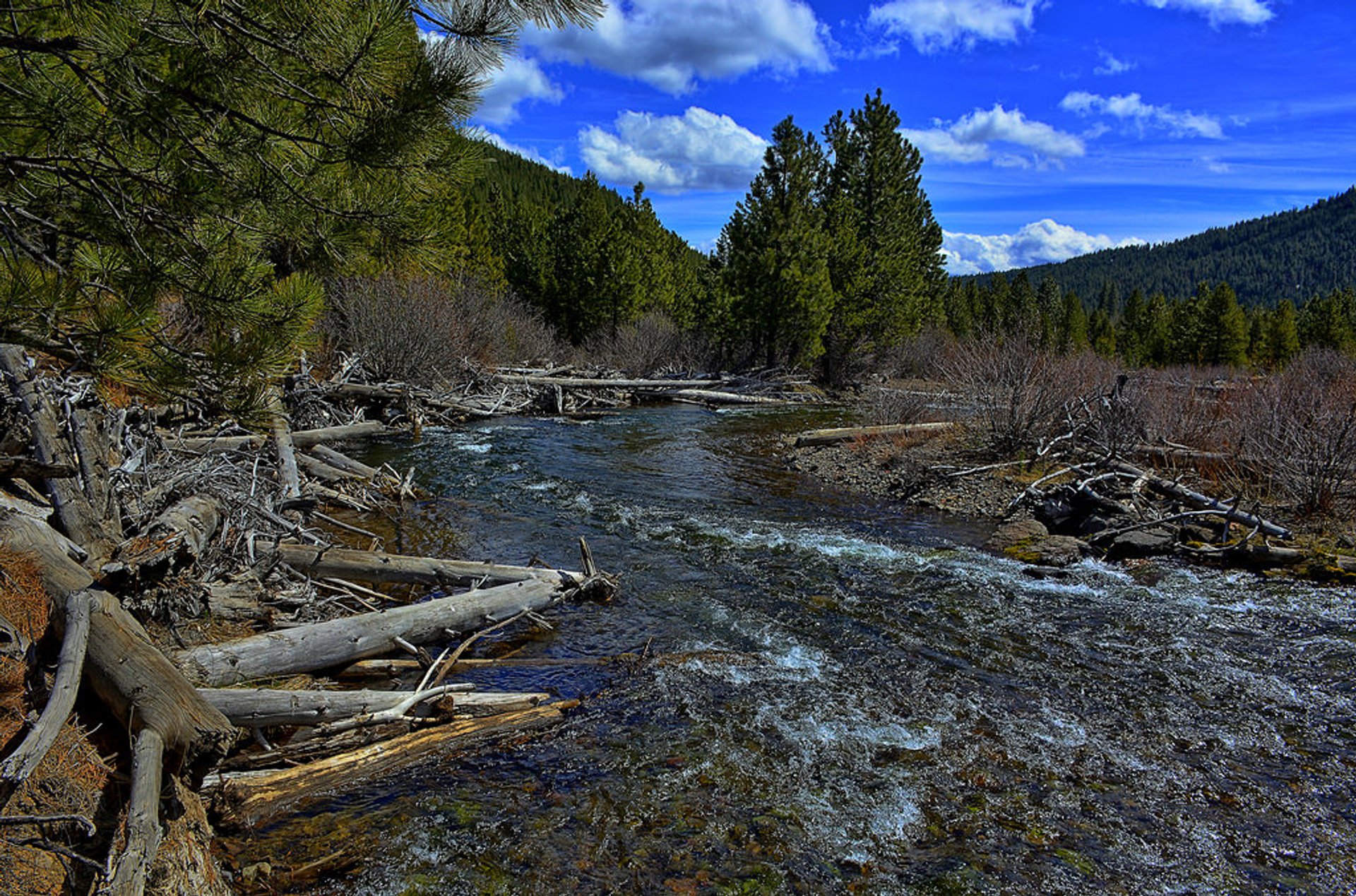 Randonnée pédestre du Tumalo Falls