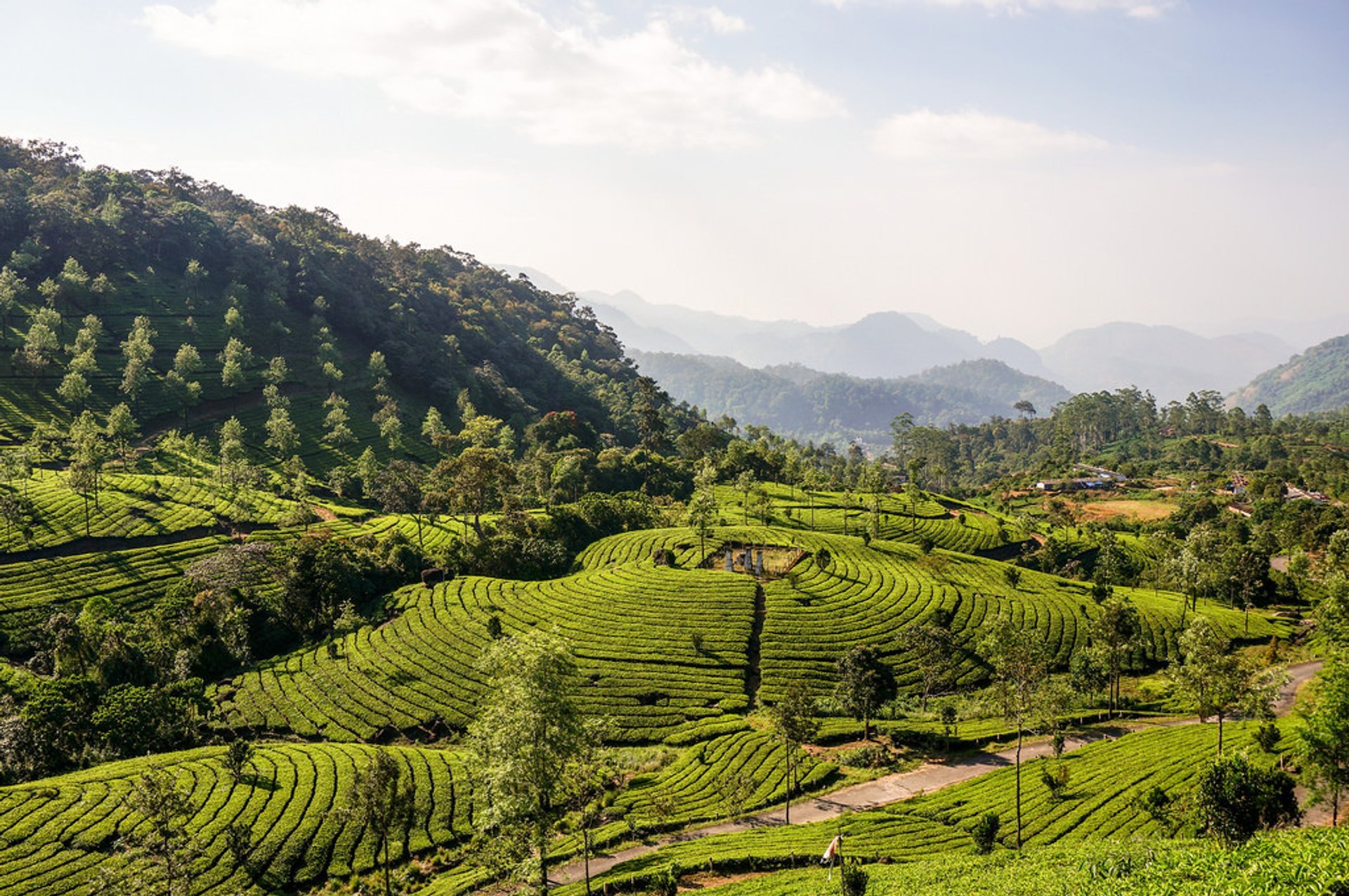 Munnar Bahn