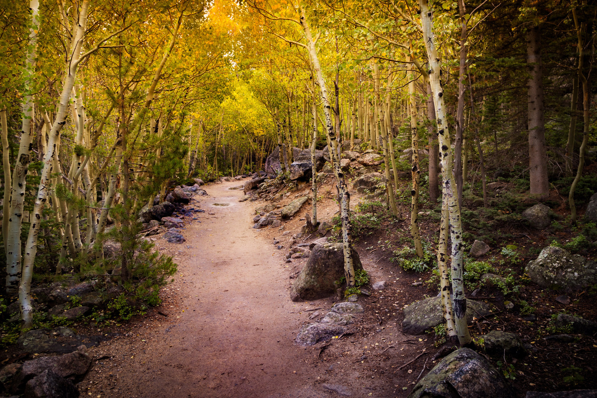 Cores de Outono do Parque Nacional da Rocky Mountain