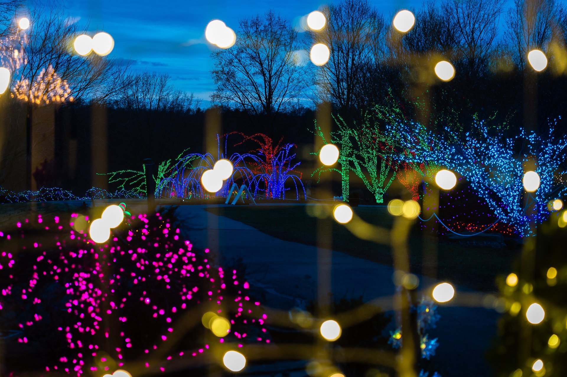 Winter Walk of Lights a Meadowlark Botanical Gardens  