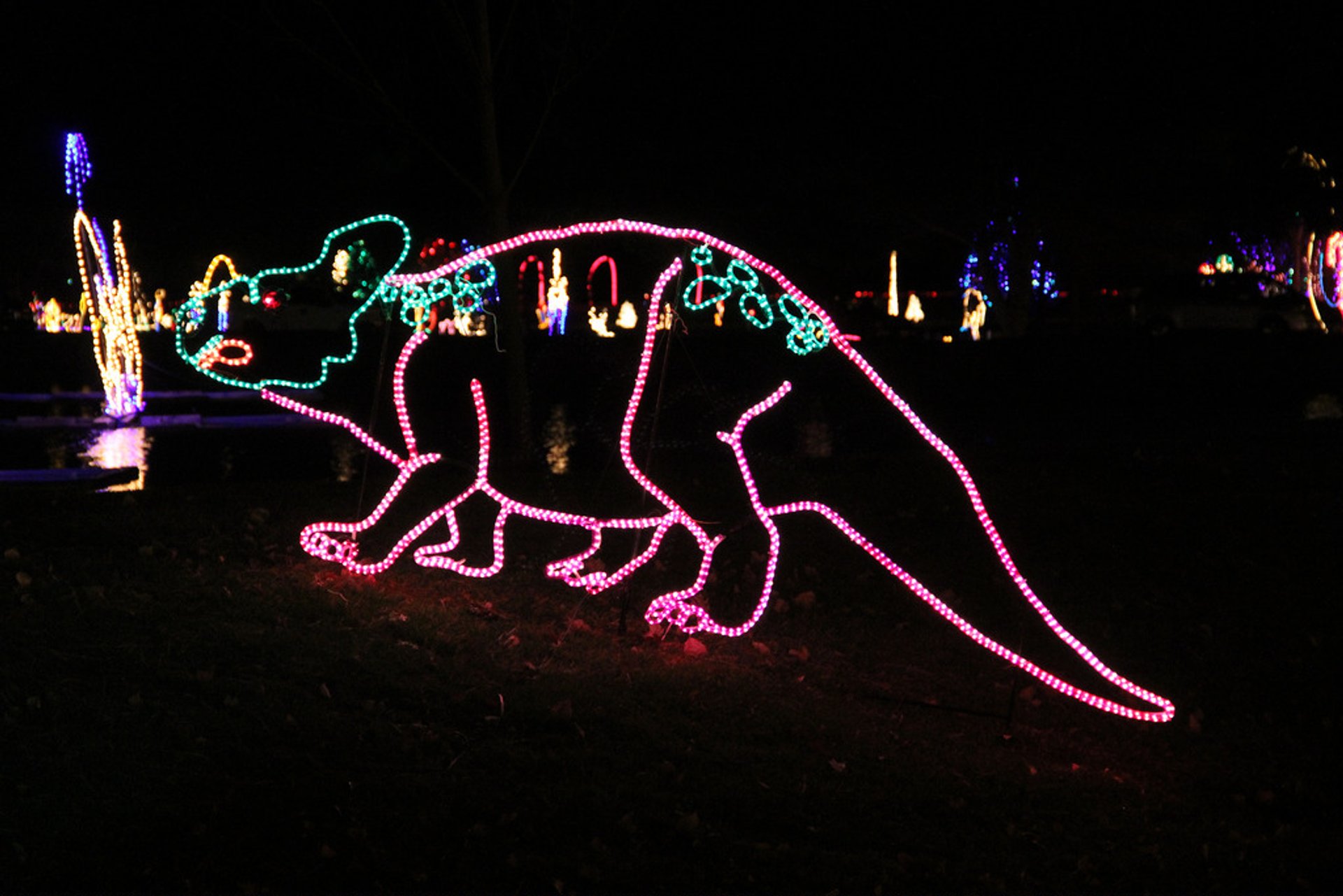 Best time for Christmas Lights