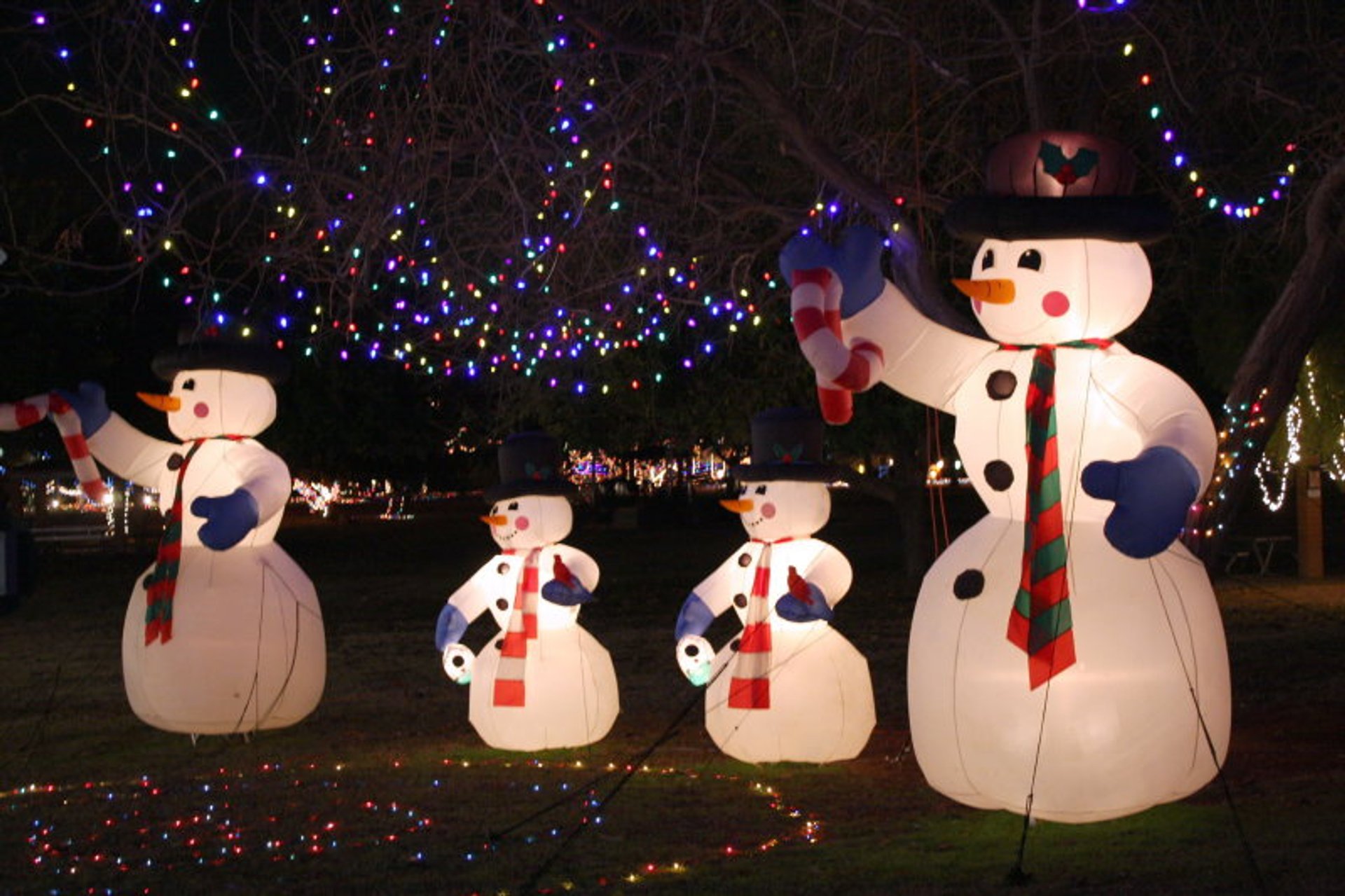 Weihnachtslichter in Phoenix, AZ