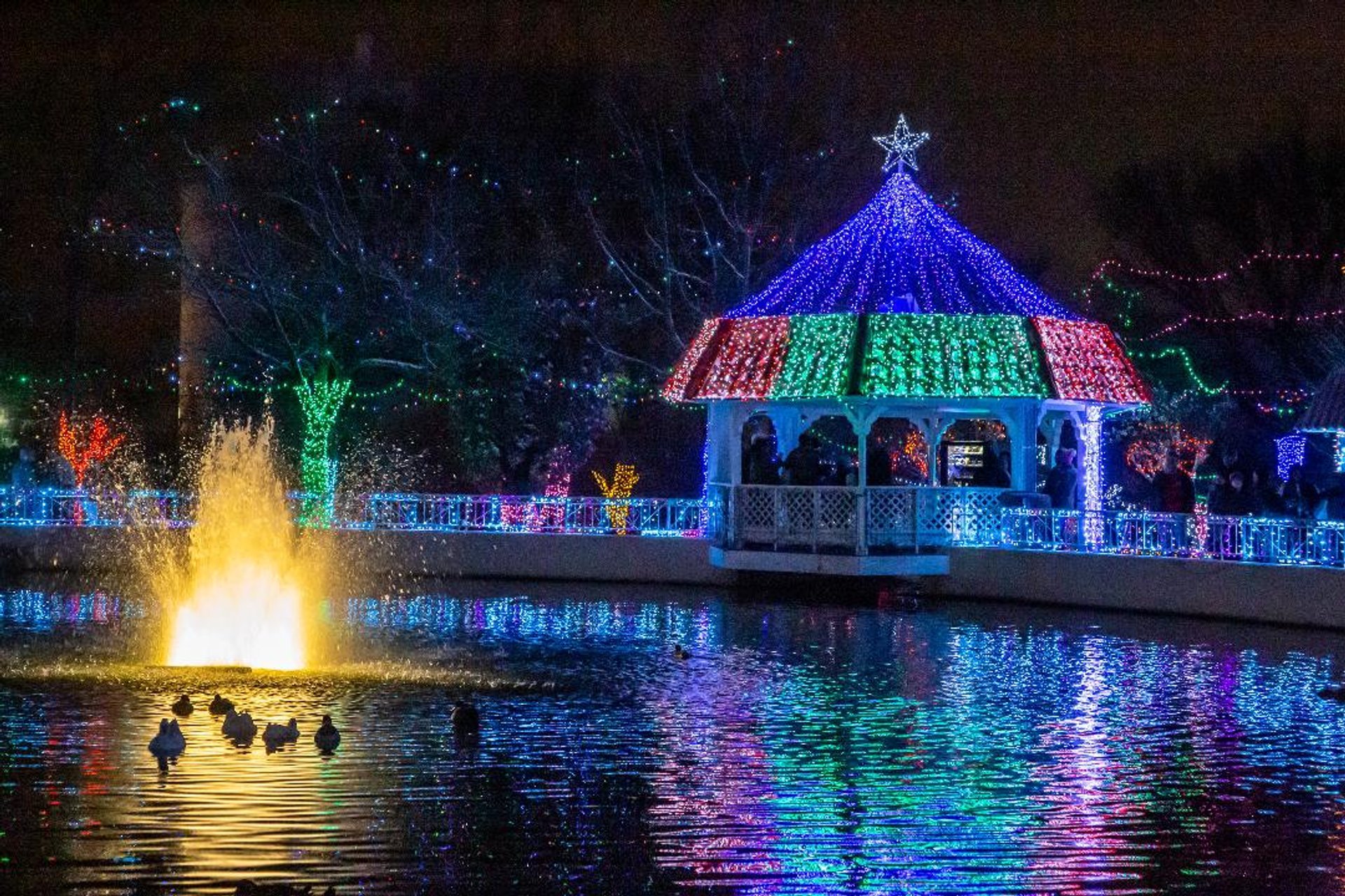 Luces de Navidad