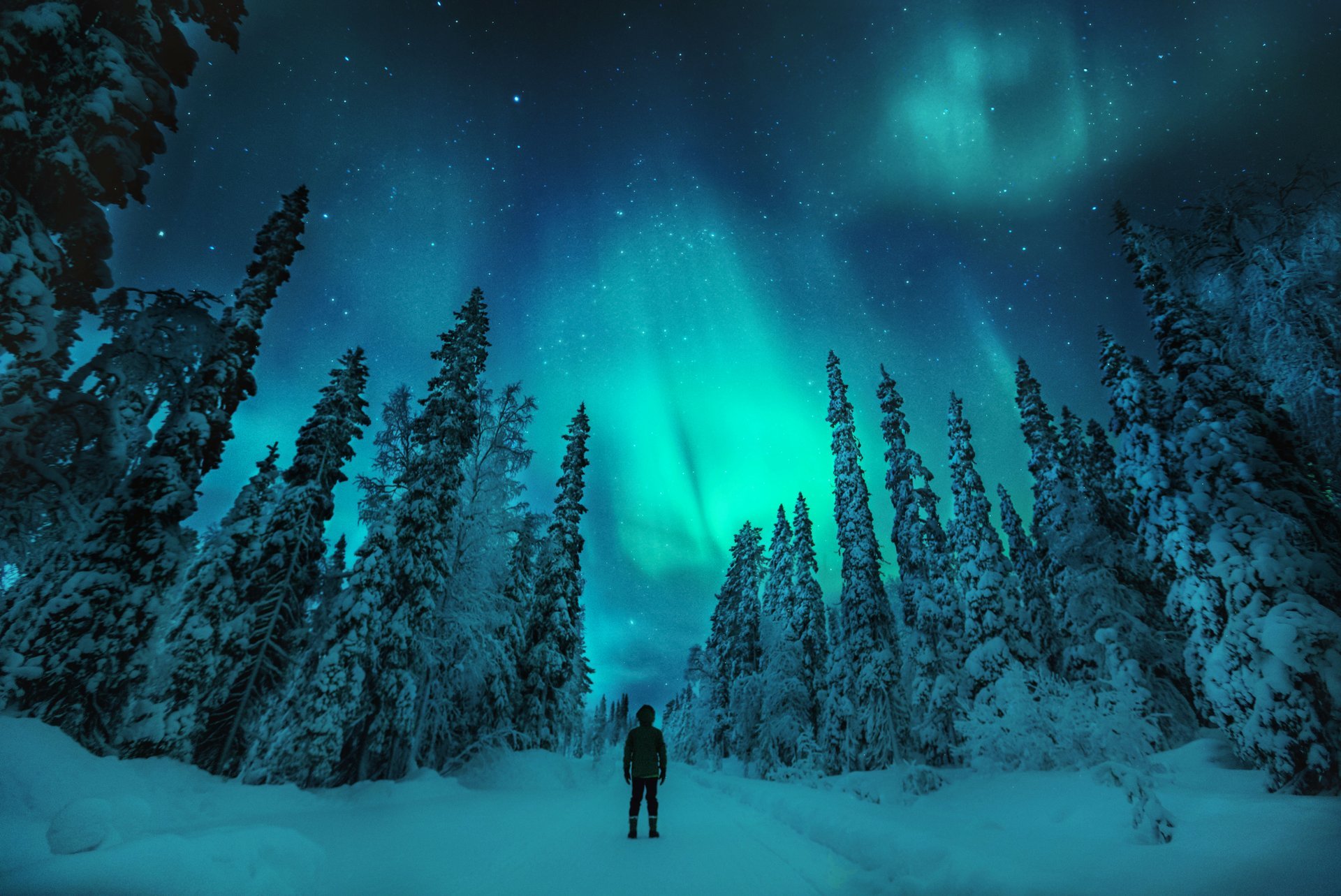 Nordlichter oder Aurora Borealis