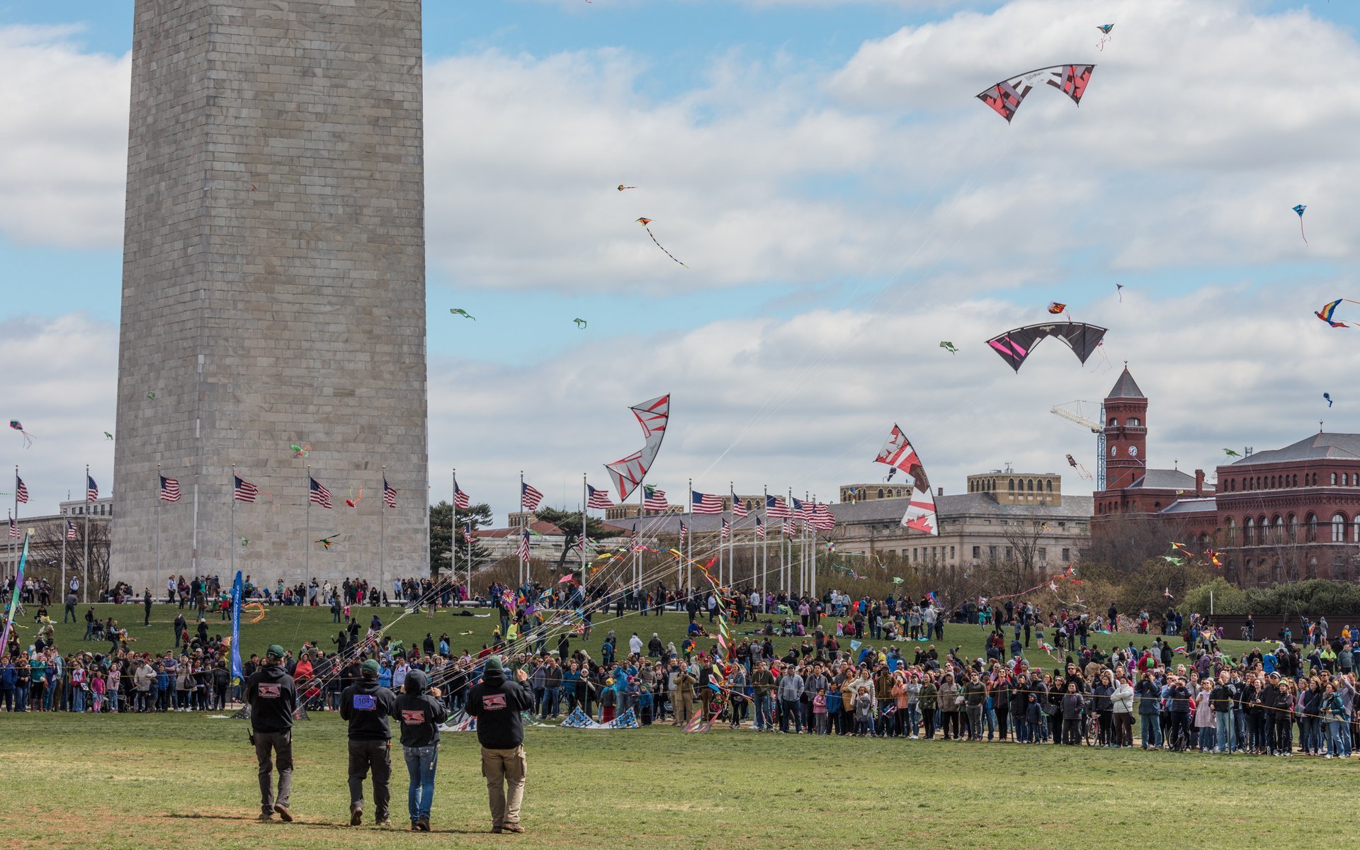 National Cherry Blossom Festival in Full Force, D.C. is Open - The  Washington Informer