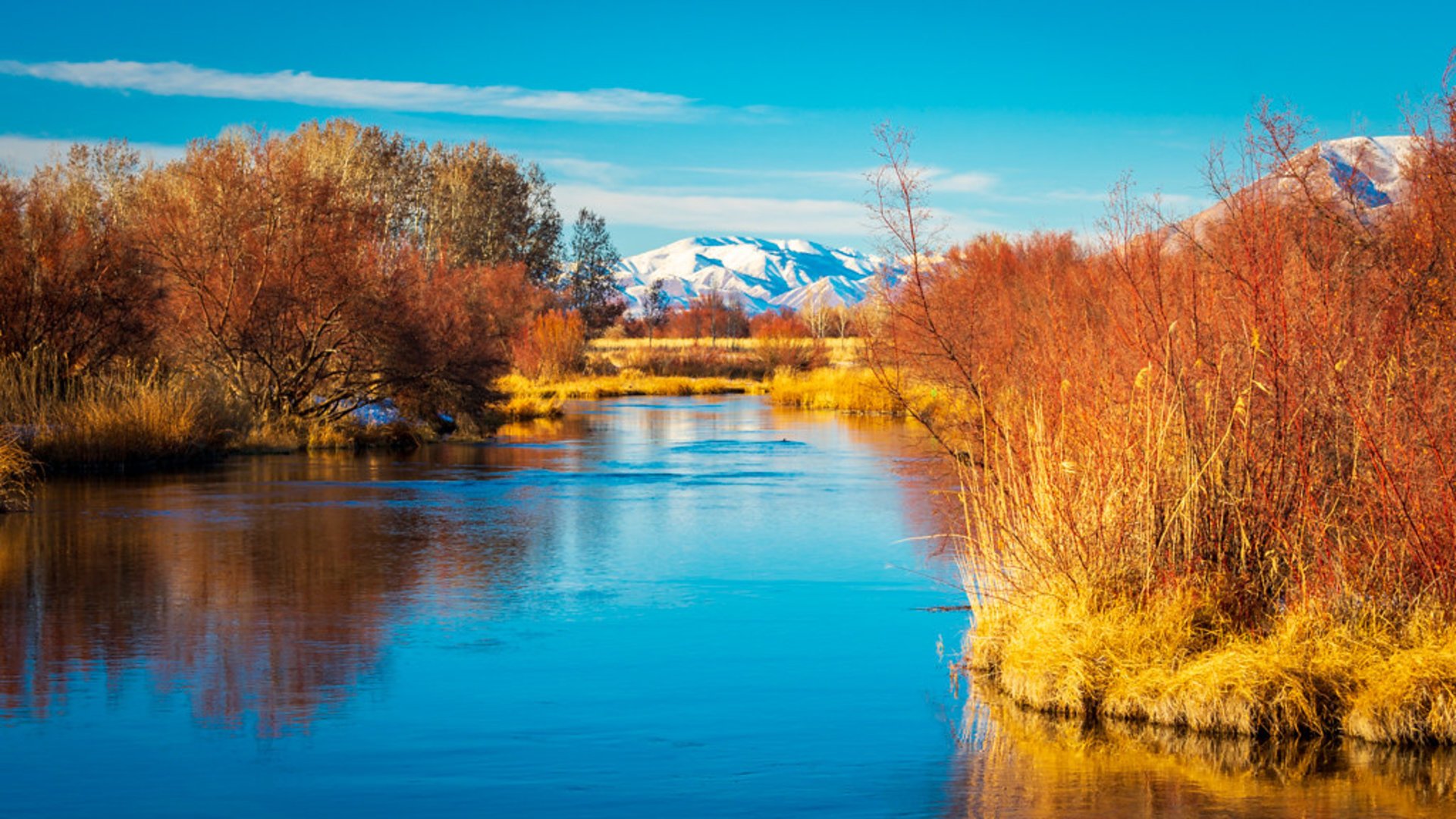 Cores do Outono em Idaho