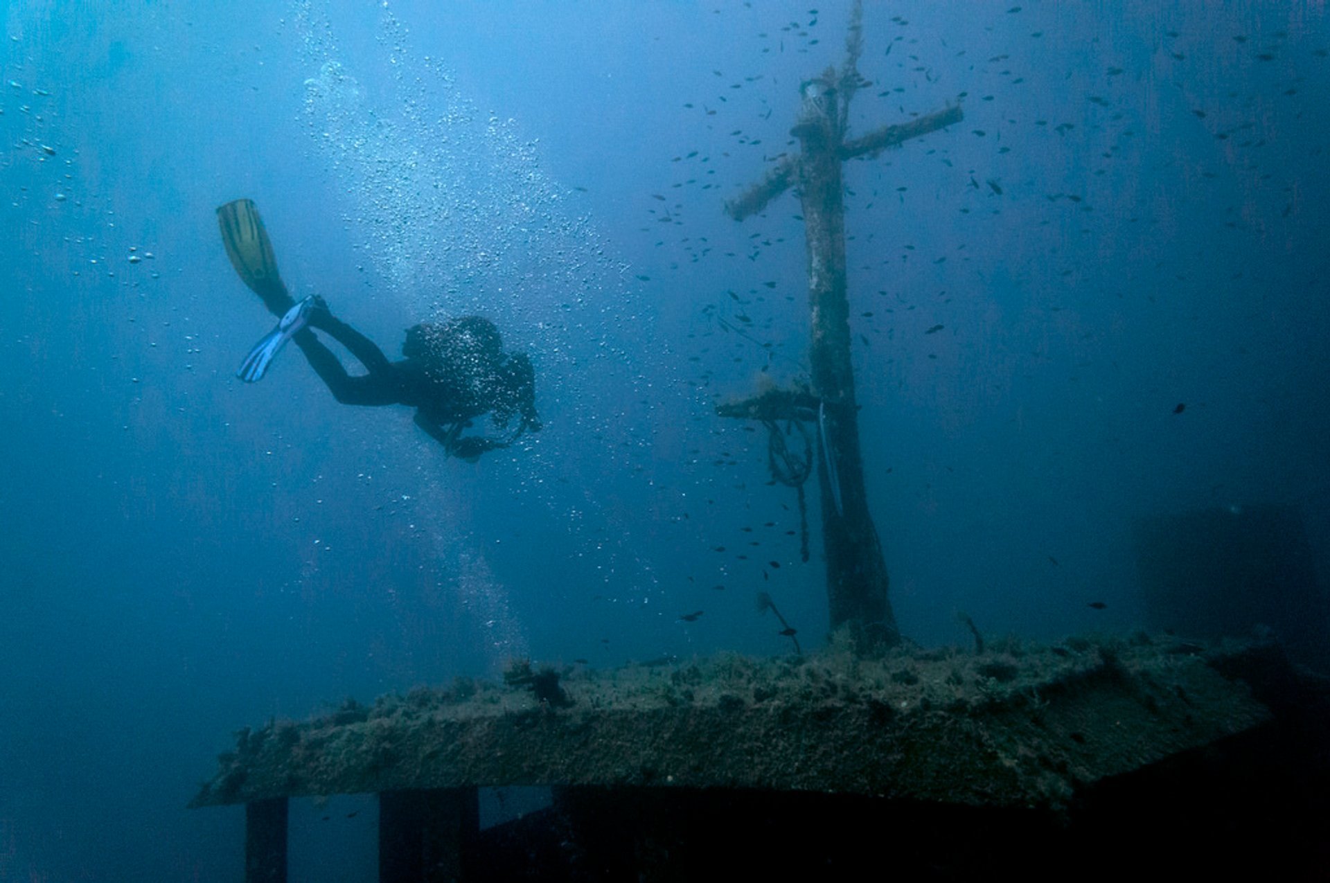 Diving e immersioni