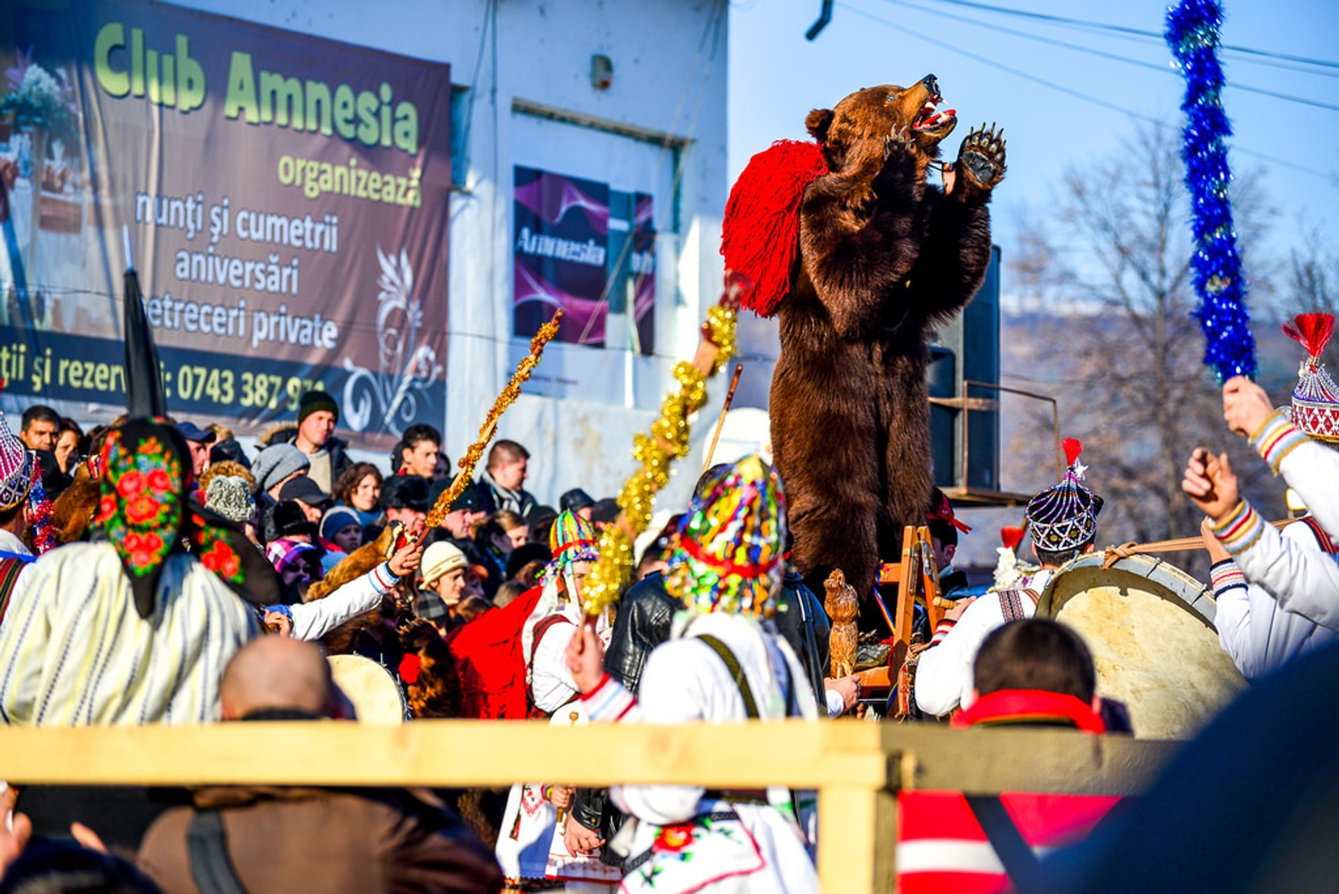 Neujahrsbären