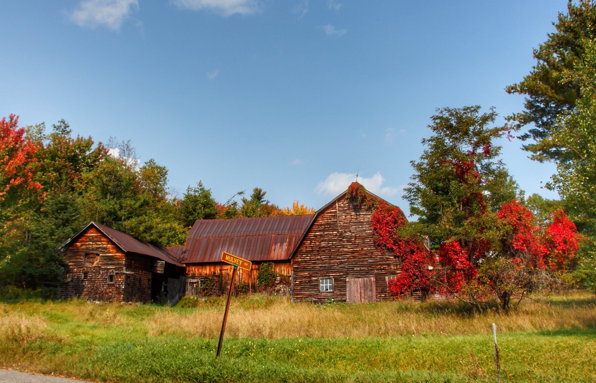 Herbstlaub des Placid-Sees