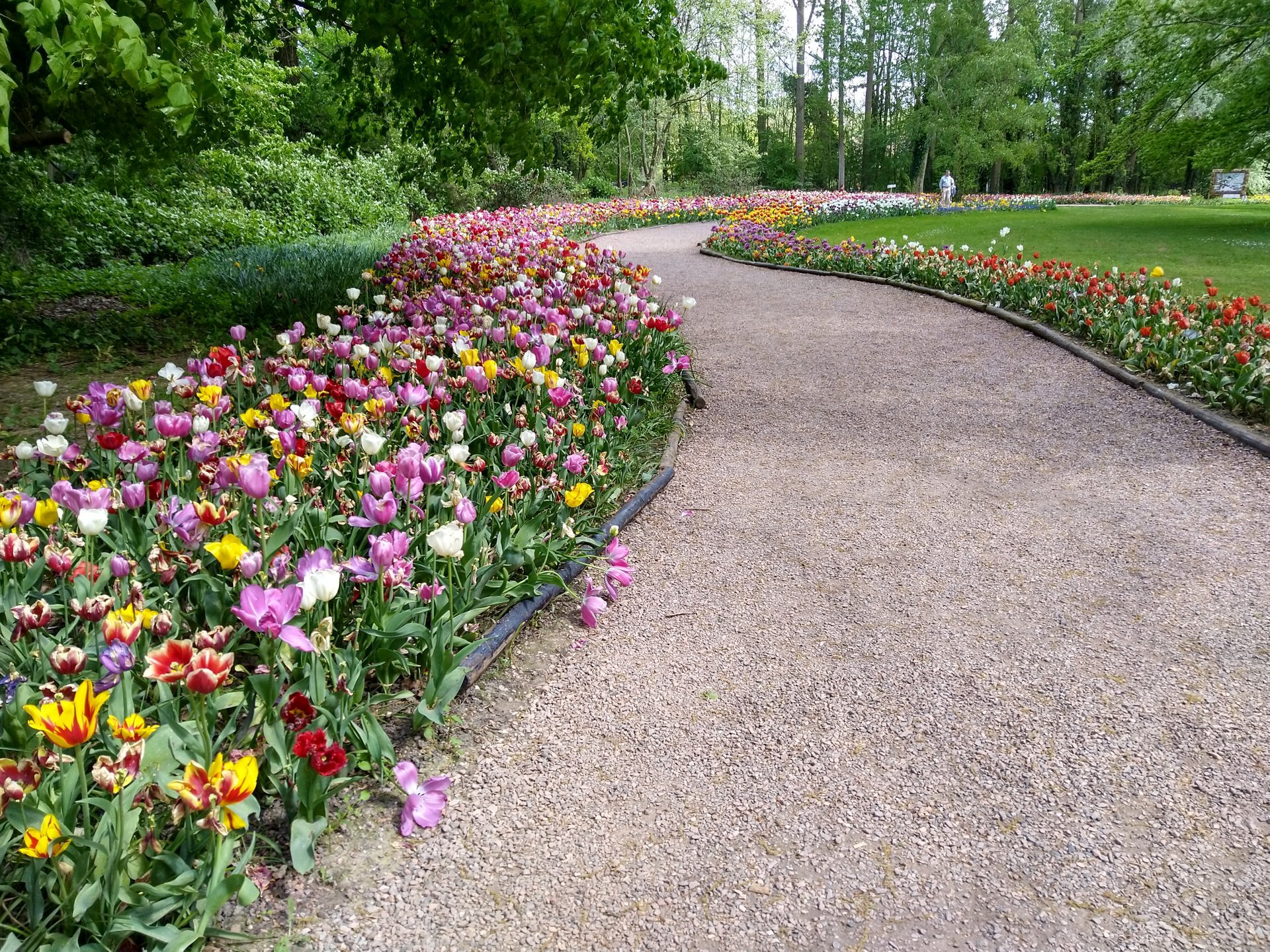 Floralia Bruxelles