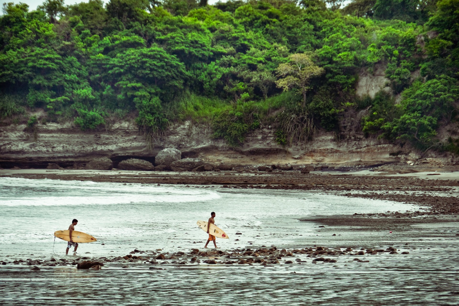 Surfing Season