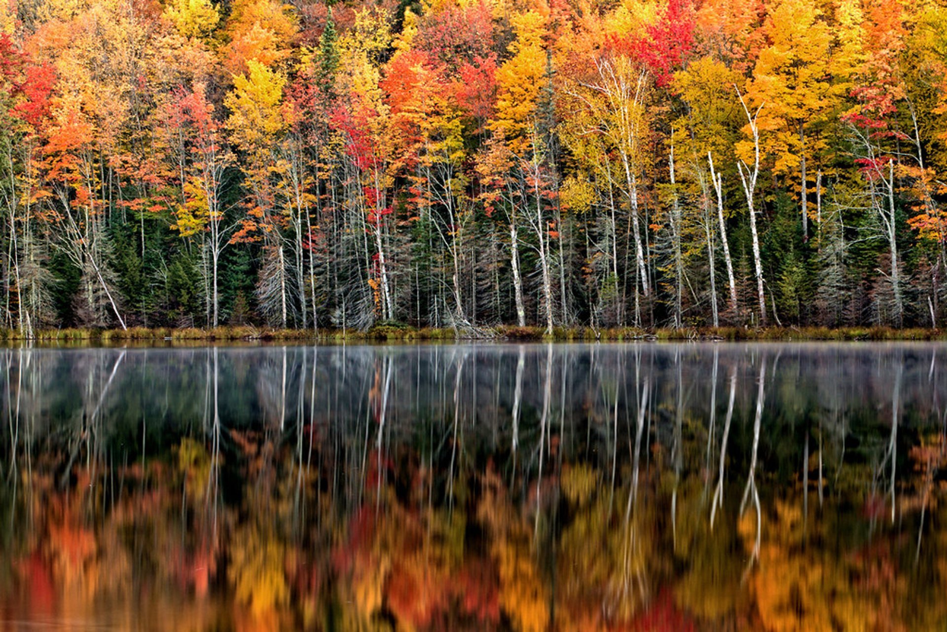 Colores de otoño de la Península superior