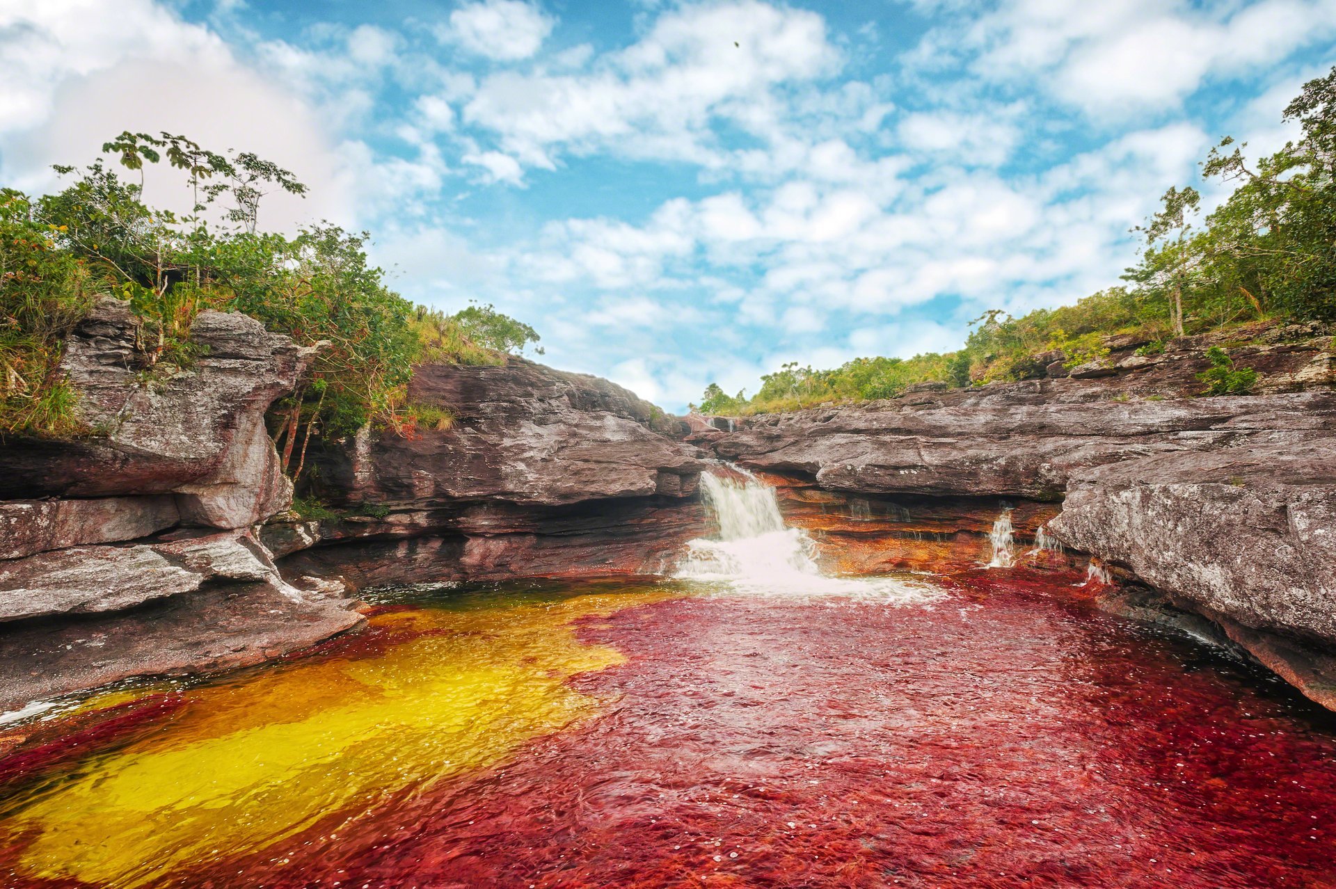 Rivière Caño Cristales