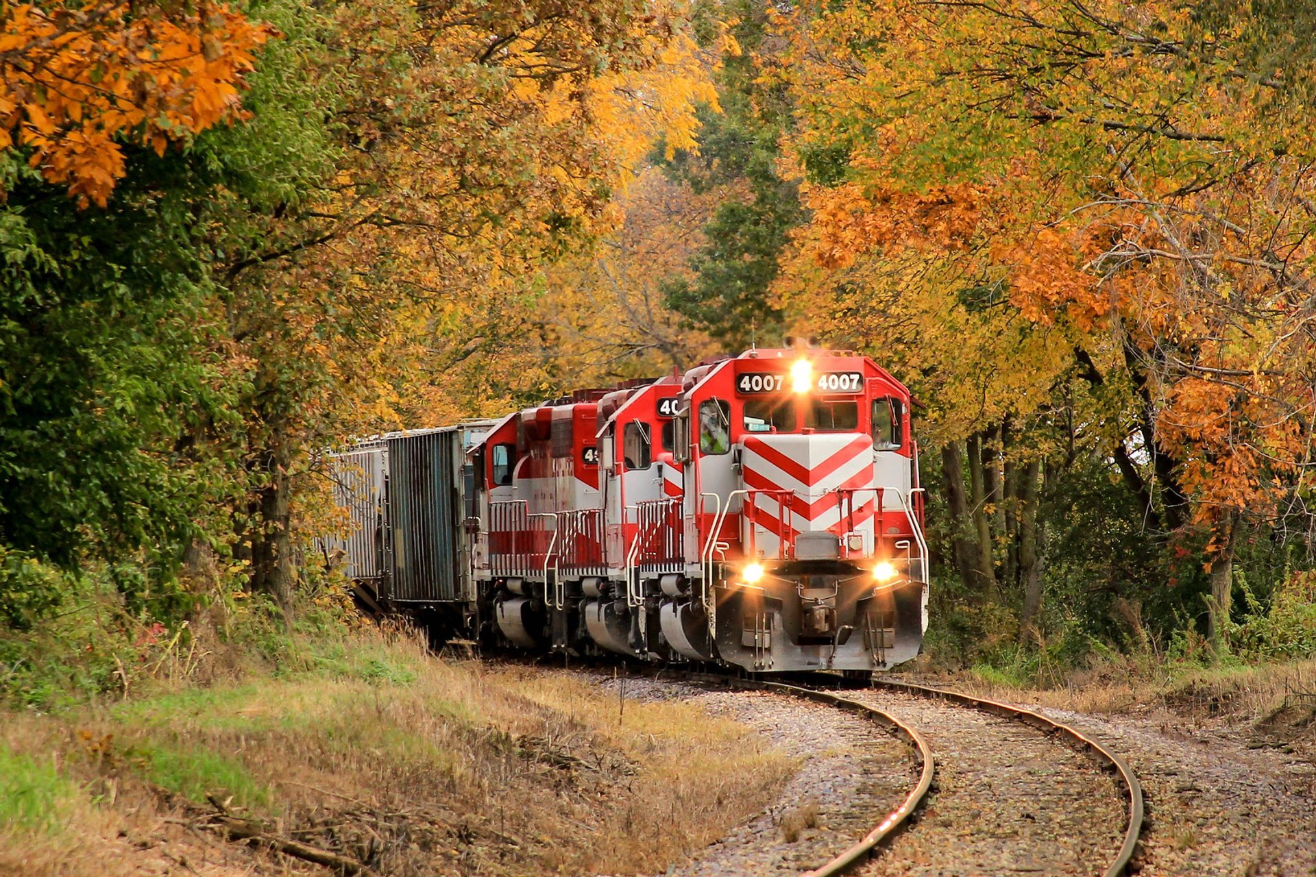 Colori di autunno del Wisconsin