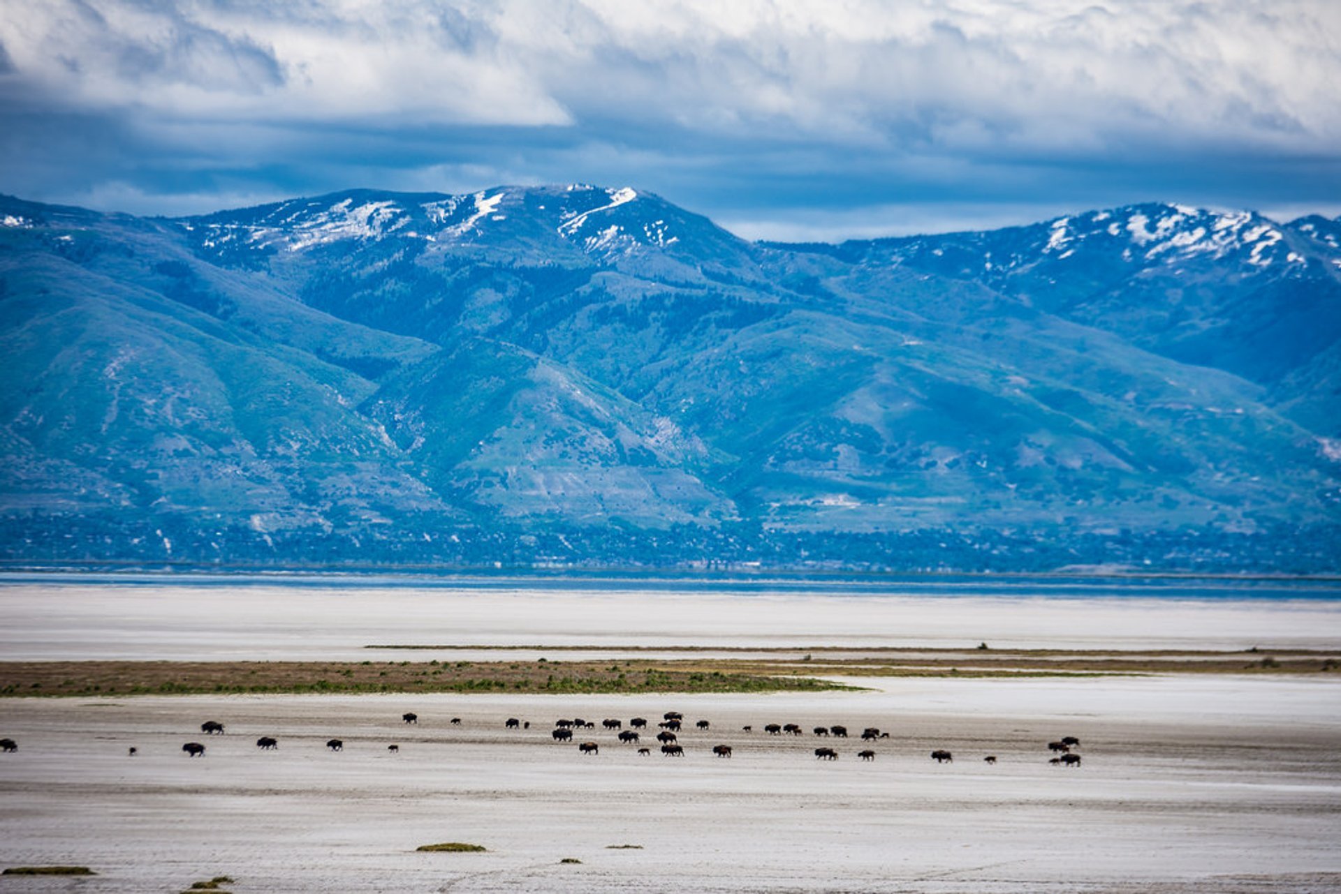 Great Salt Lake