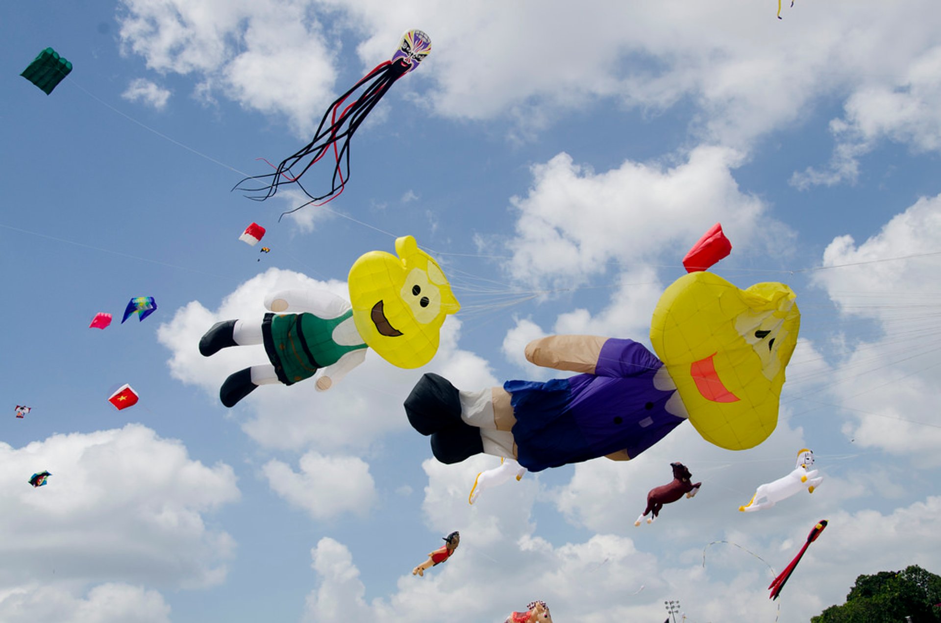 Traditional Kite Flying