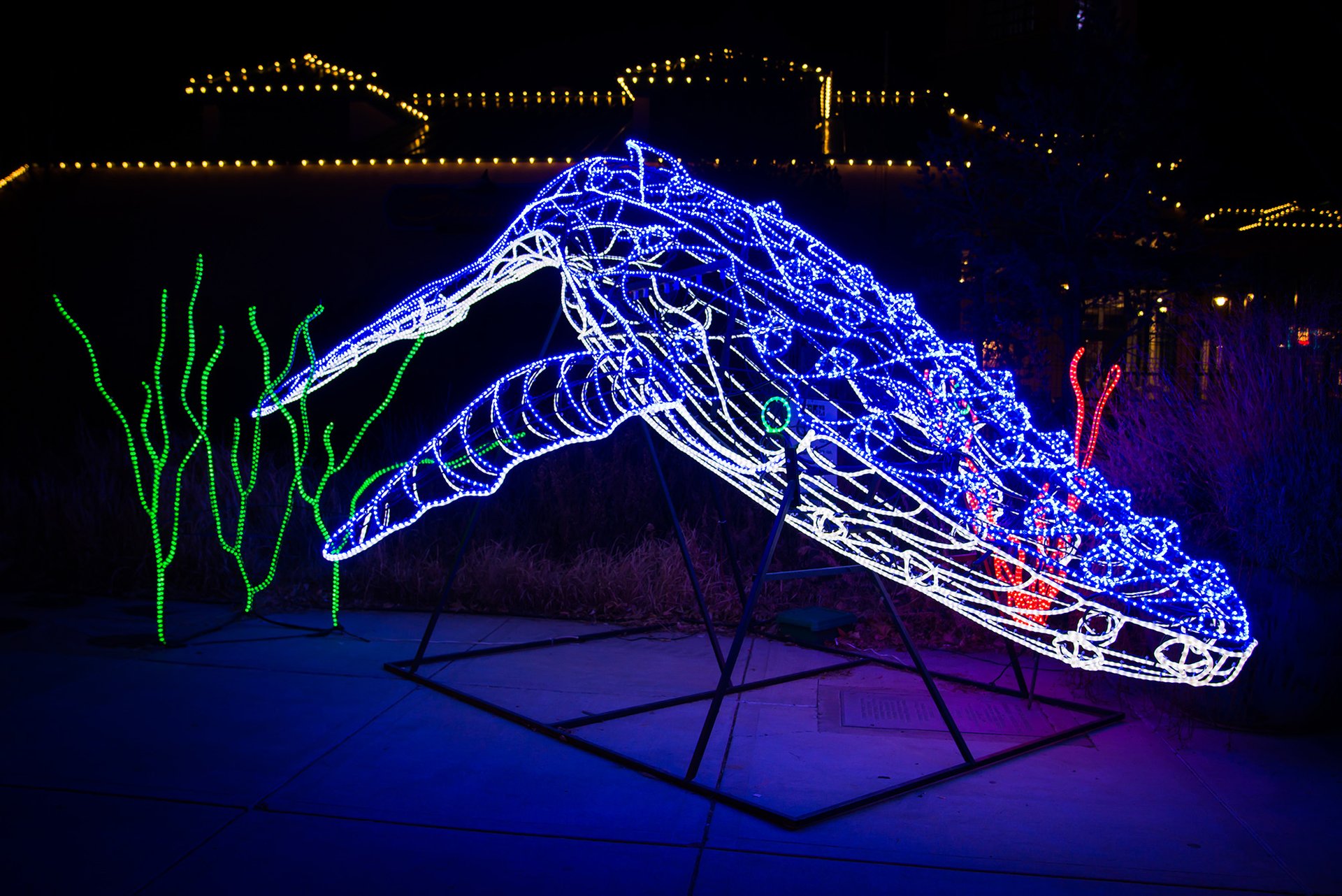 River of Lights in Albuquerque