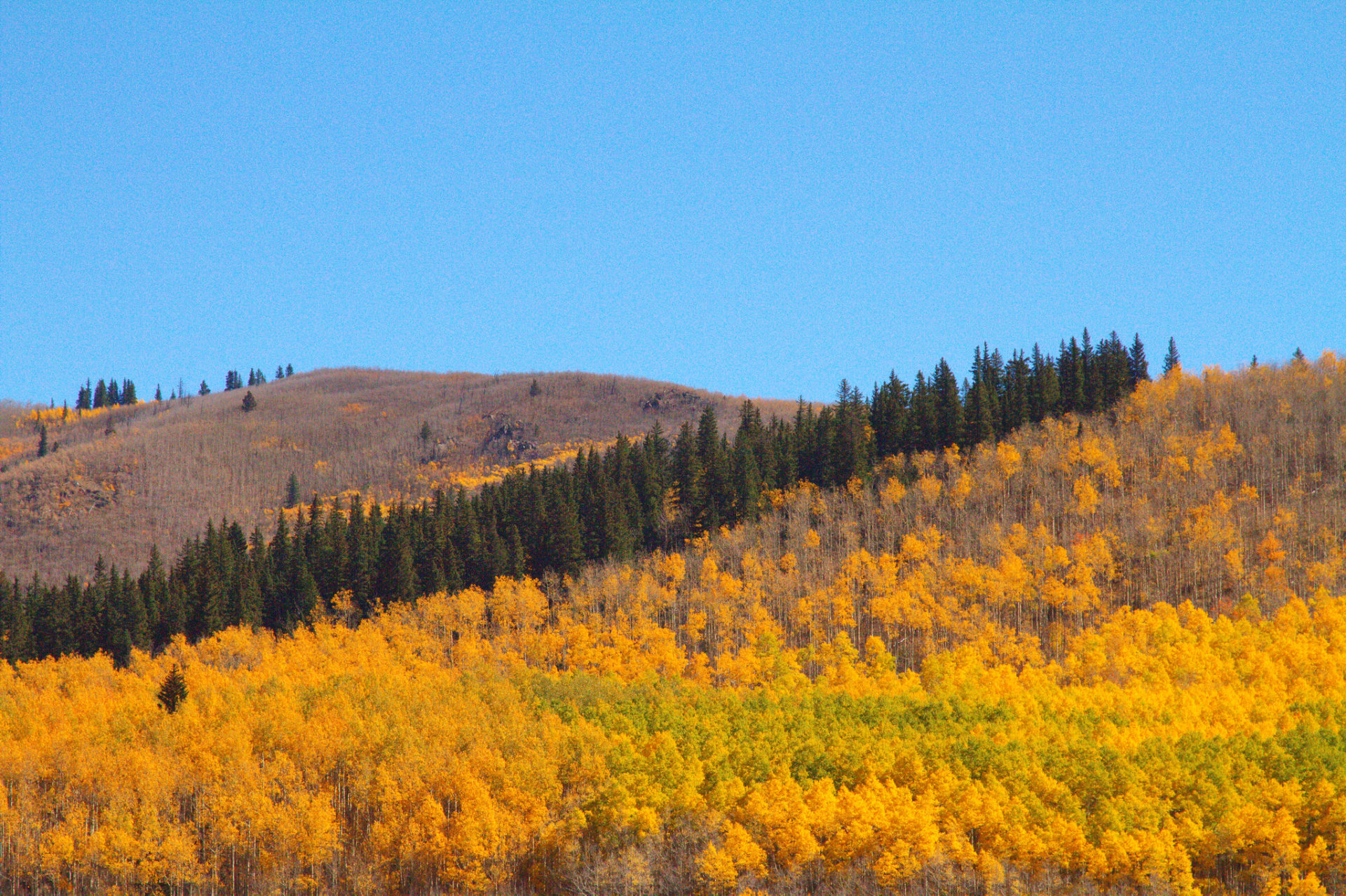 Kenosha Pass Cores de Outono