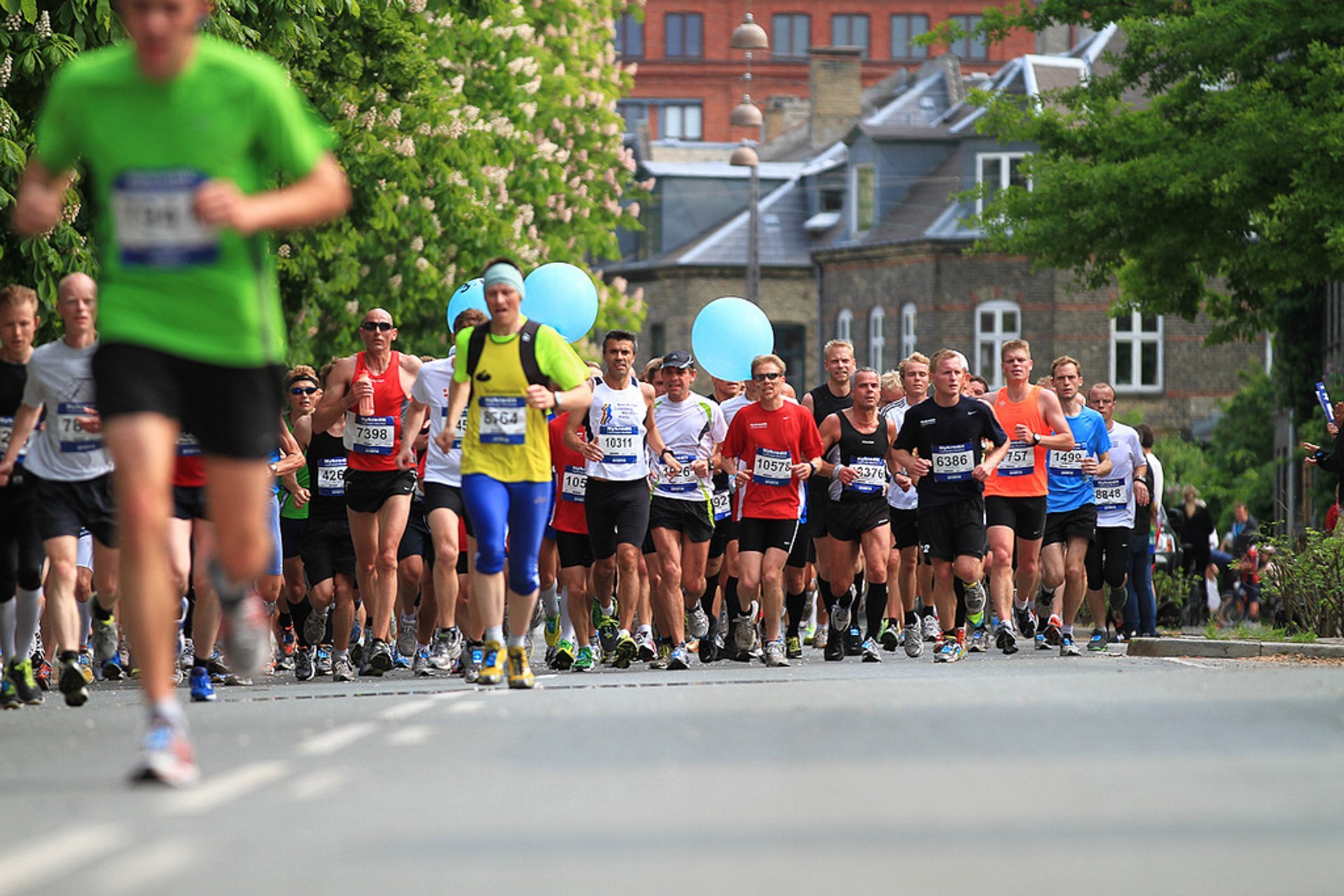 Maratón de Copenhague