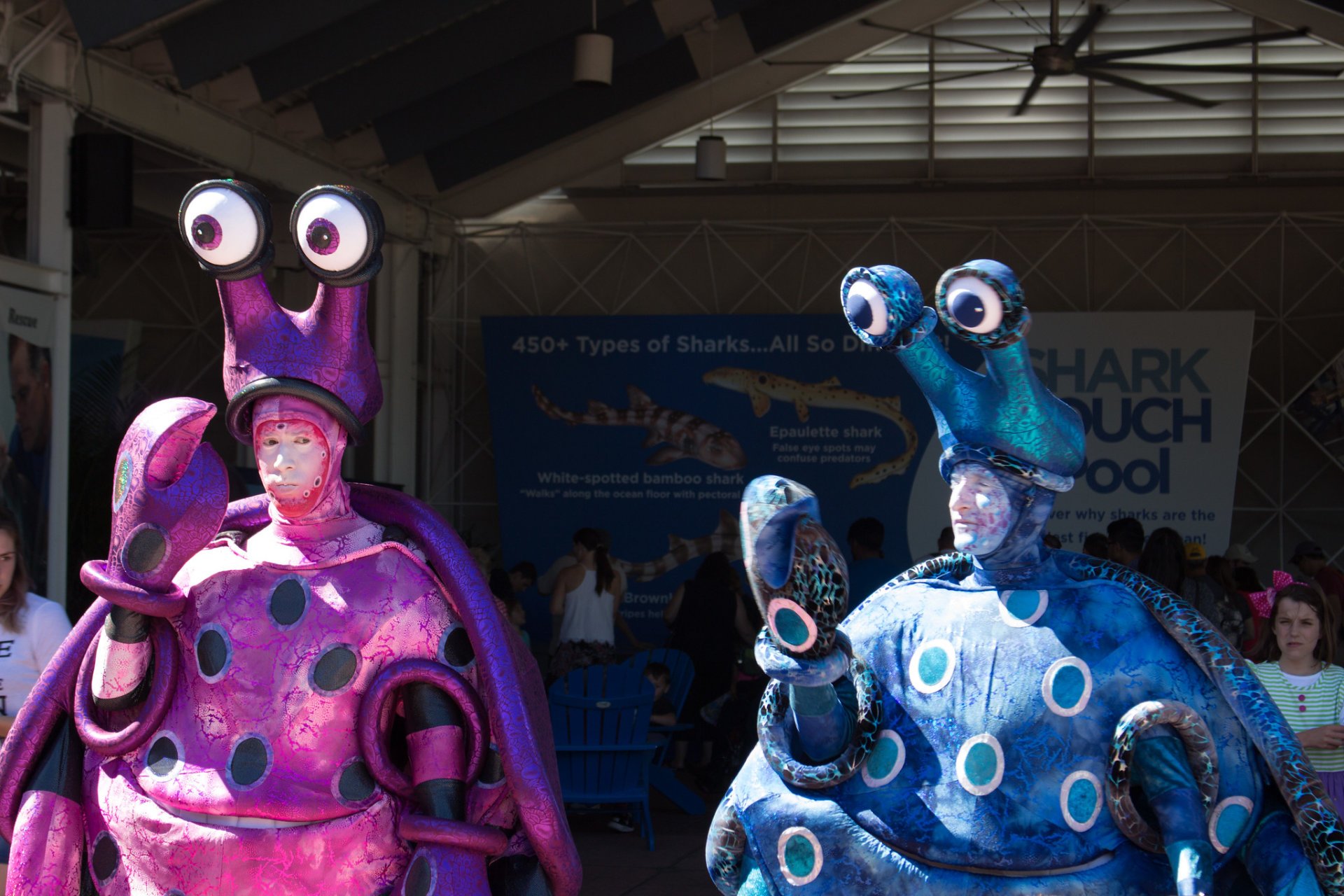 SeaWorld Halloween 2022 in Orlando Dates