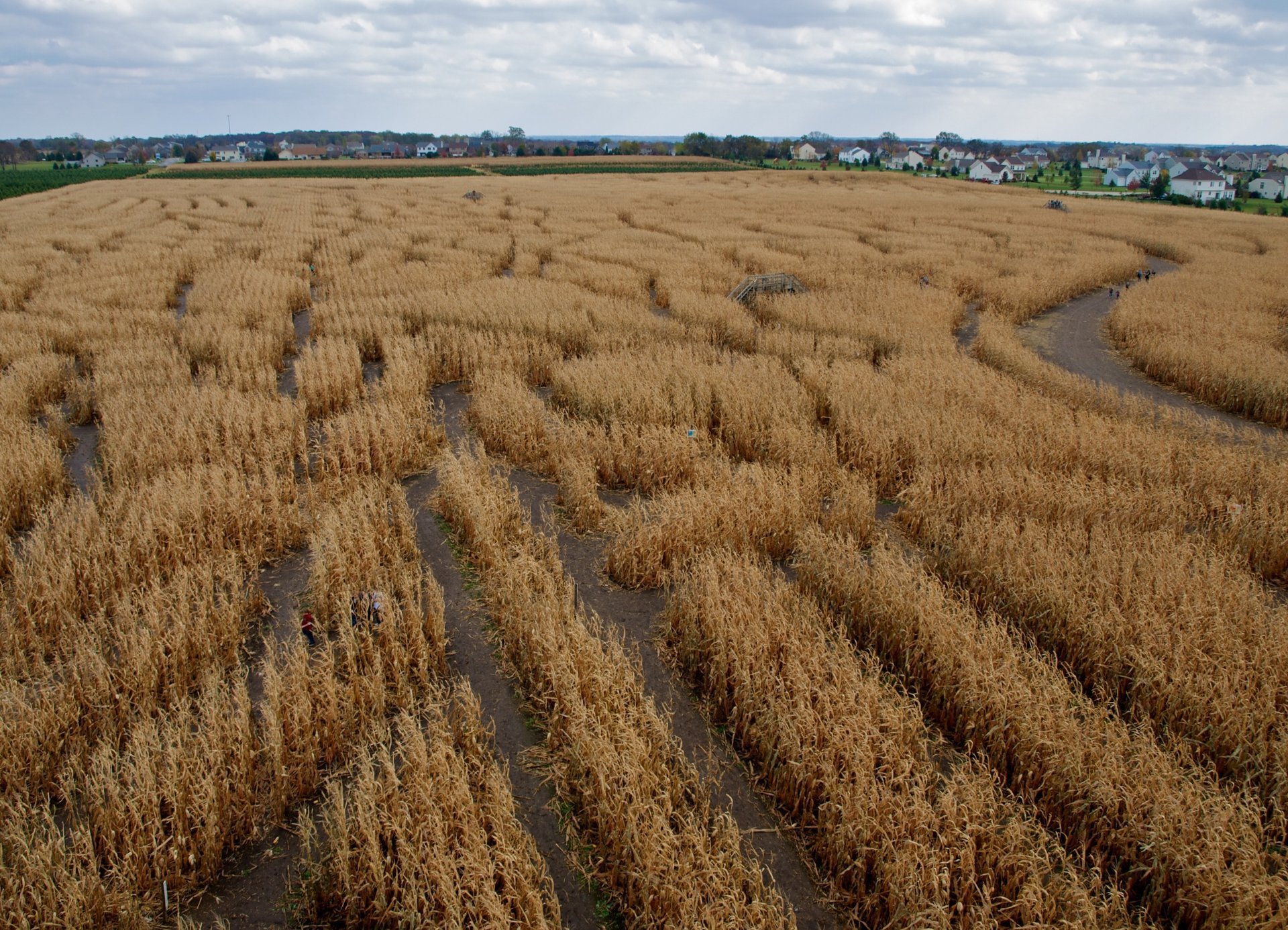 Richardson Adventure Farm Corn Maze