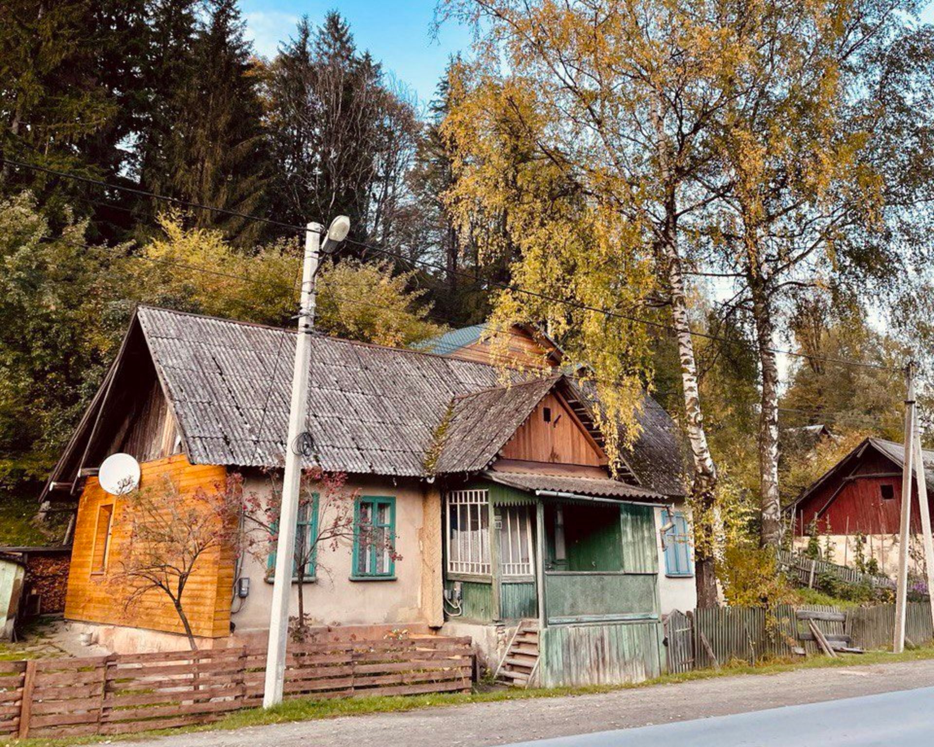 Fogliaggio di autunno nelle montagne dei Carpazi