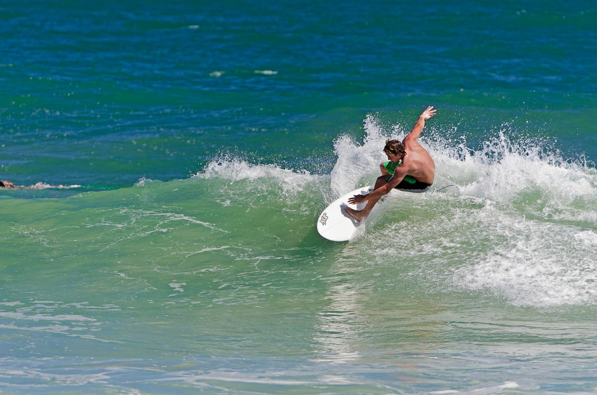 Surfen oder Wellenreiten