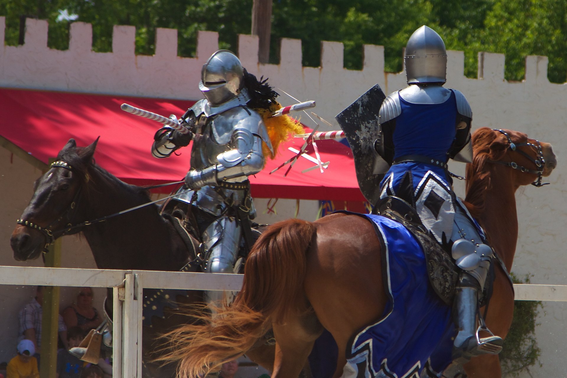 Georgia Renaissance Festival