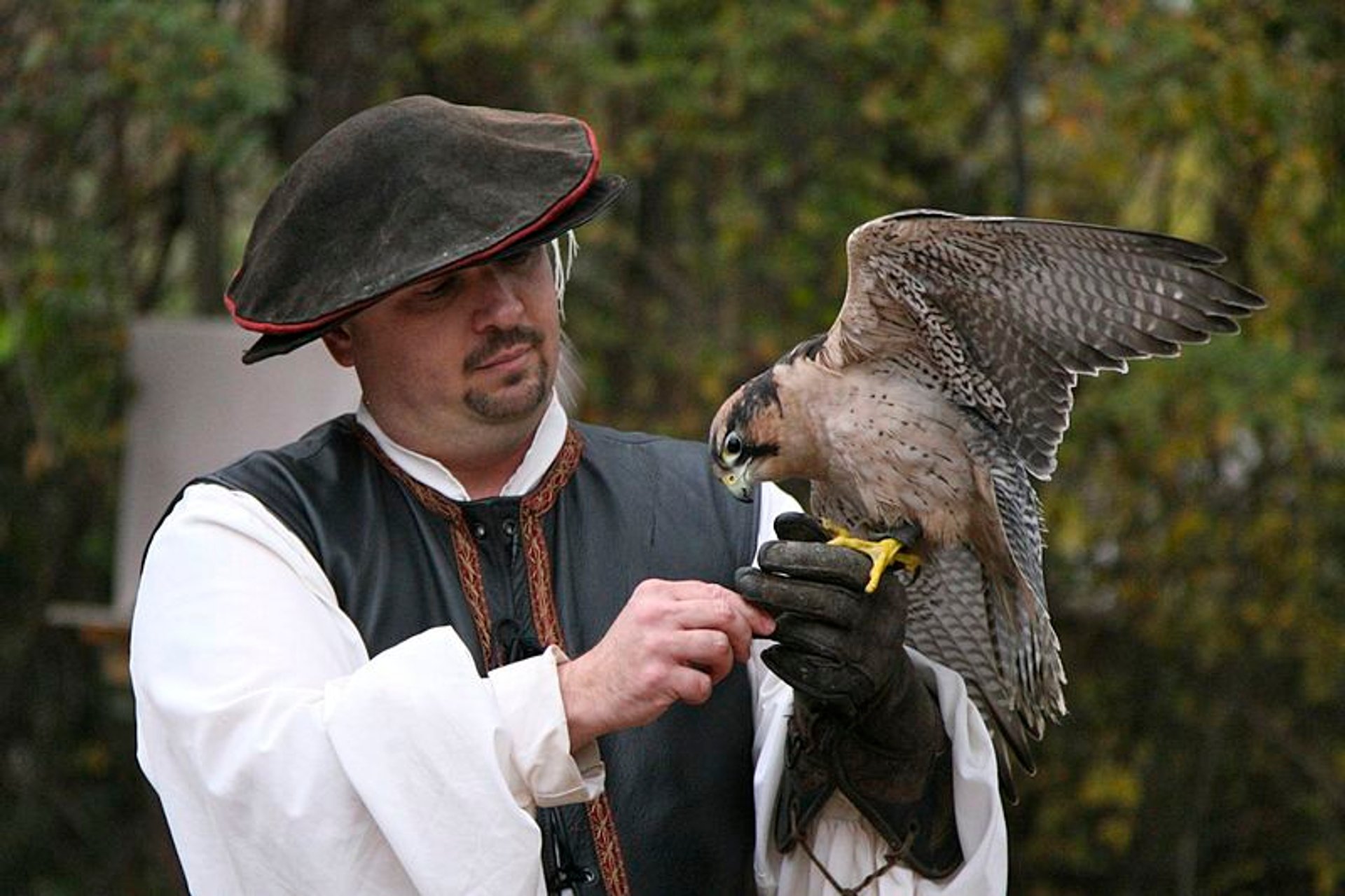 Texas Renaissance Festival